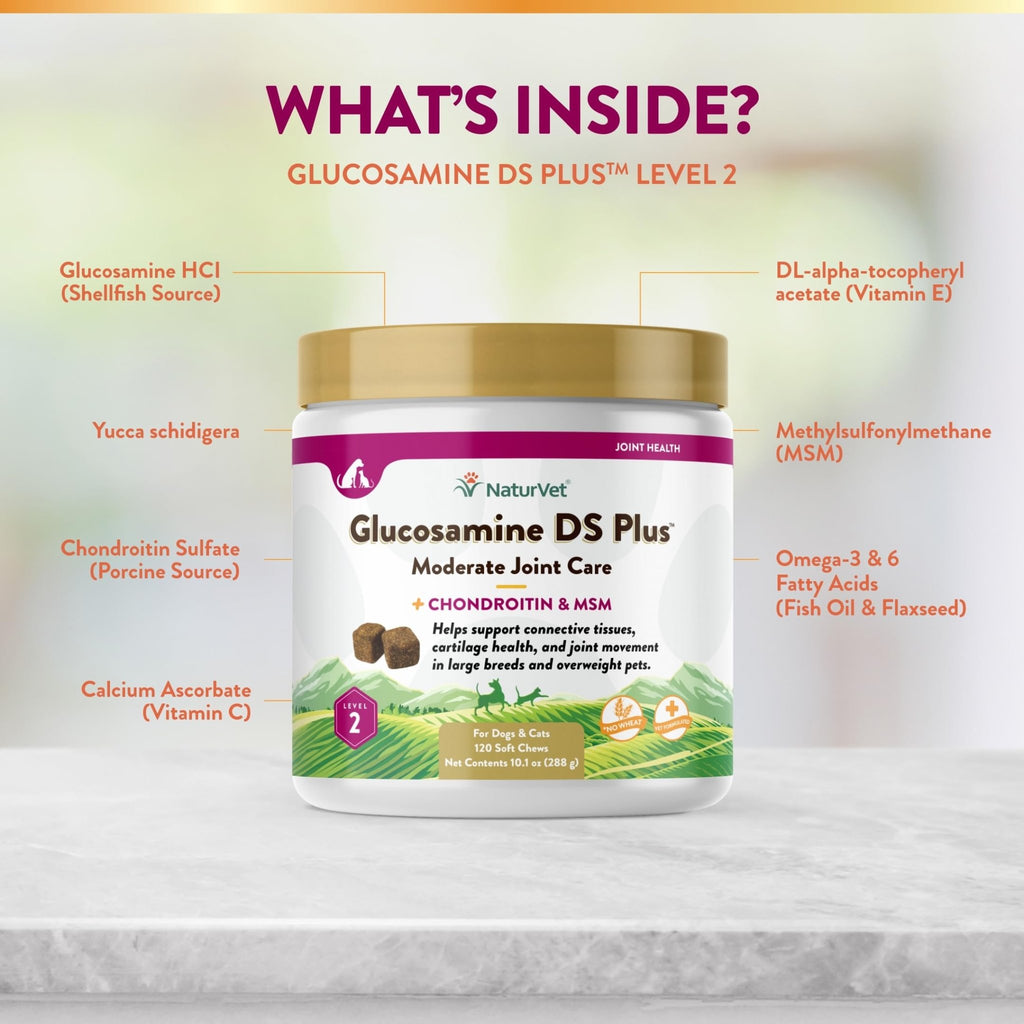 NaturVet – Glucosamine DS Plus - Level 2 Moderate Care – Supports Healthy Hip & Joint Function – Enhanced with Glucosamine, MSM & Chondroitin – for Dogs & Cats–120 Soft Chews - TrustMedUSA
