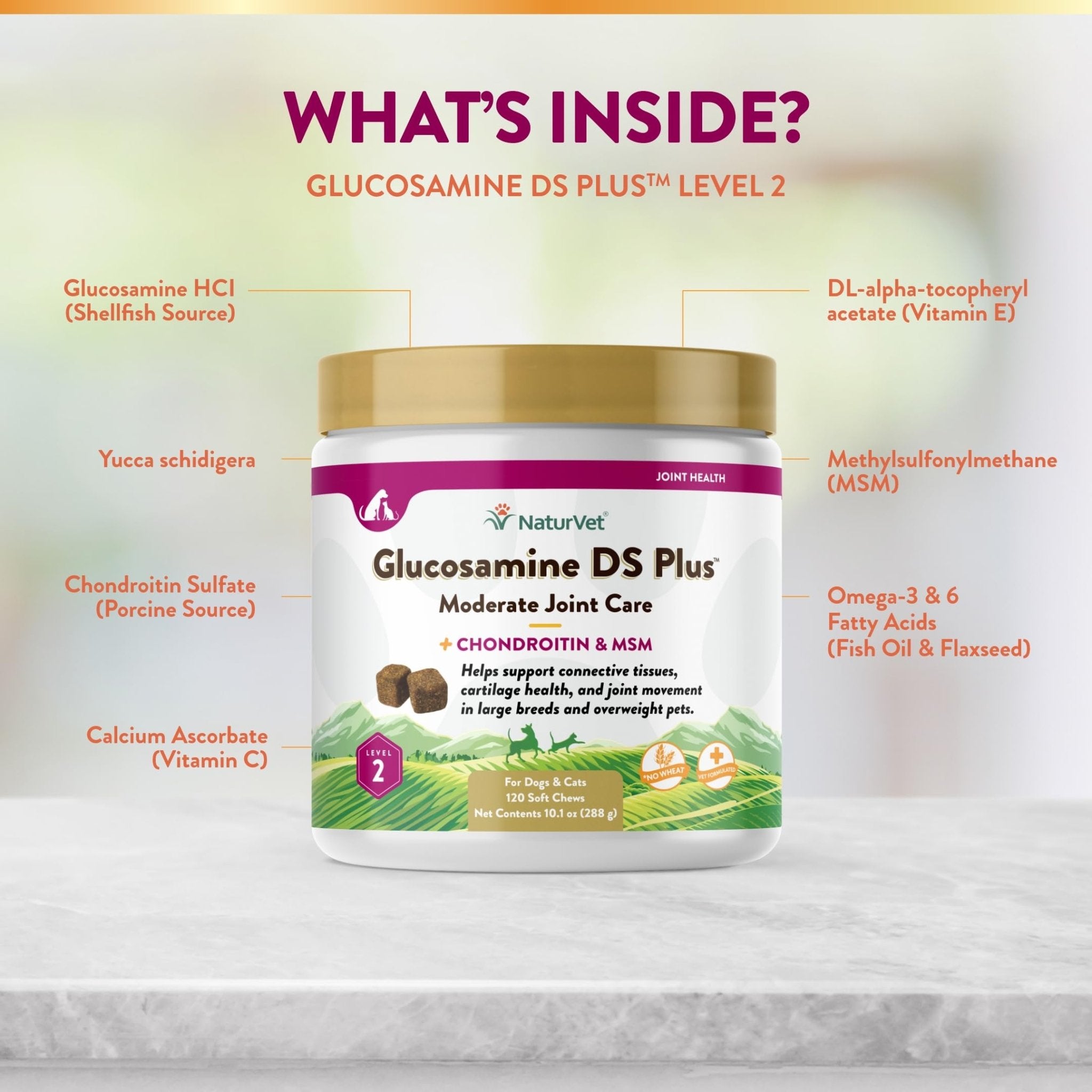 NaturVet – Glucosamine DS Plus - Level 2 Moderate Care – Supports Healthy Hip & Joint Function – Enhanced with Glucosamine, MSM & Chondroitin – for Dogs & Cats–120 Soft Chews - TrustMedUSA
