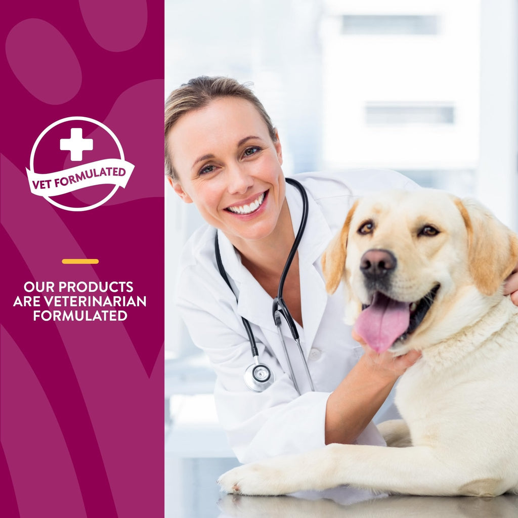 NaturVet – Glucosamine DS Plus - Level 2 Moderate Care – Supports Healthy Hip & Joint Function – Enhanced with Glucosamine, MSM & Chondroitin – for Dogs & Cats–120 Soft Chews - TrustMedUSA
