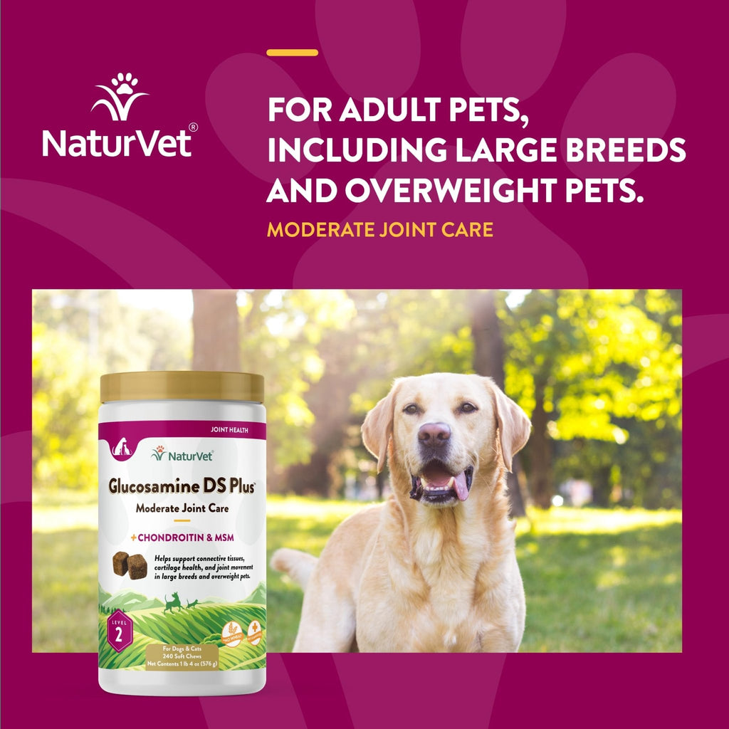 NaturVet – Glucosamine DS Plus - Level 2 Moderate Care – Supports Healthy Hip & Joint Function – Enhanced with Glucosamine, MSM & Chondroitin – for Dogs & Cats – 240 Soft Chews - TrustMedUSA