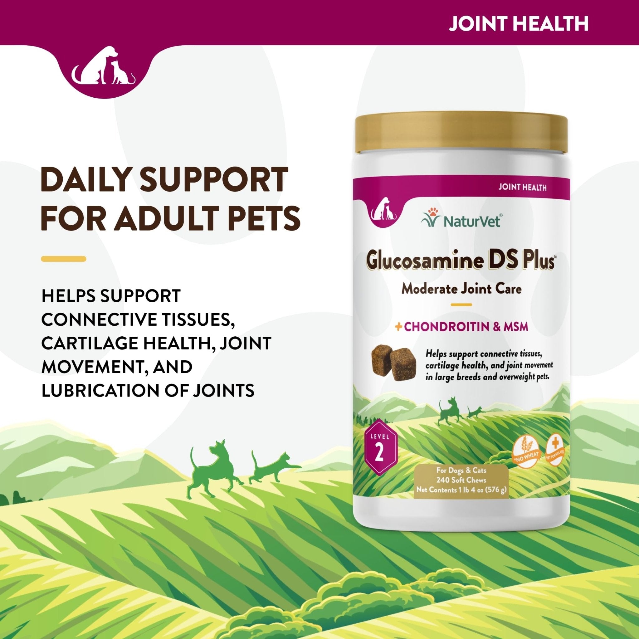 NaturVet – Glucosamine DS Plus - Level 2 Moderate Care – Supports Healthy Hip & Joint Function – Enhanced with Glucosamine, MSM & Chondroitin – for Dogs & Cats – 240 Soft Chews - TrustMedUSA