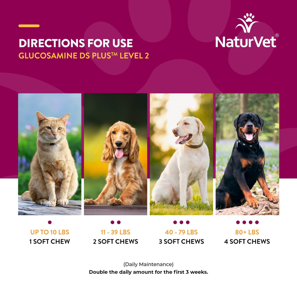 NaturVet – Glucosamine DS Plus - Level 2 Moderate Care – Supports Healthy Hip & Joint Function – Enhanced with Glucosamine, MSM & Chondroitin – for Dogs & Cats – 240 Soft Chews - TrustMedUSA