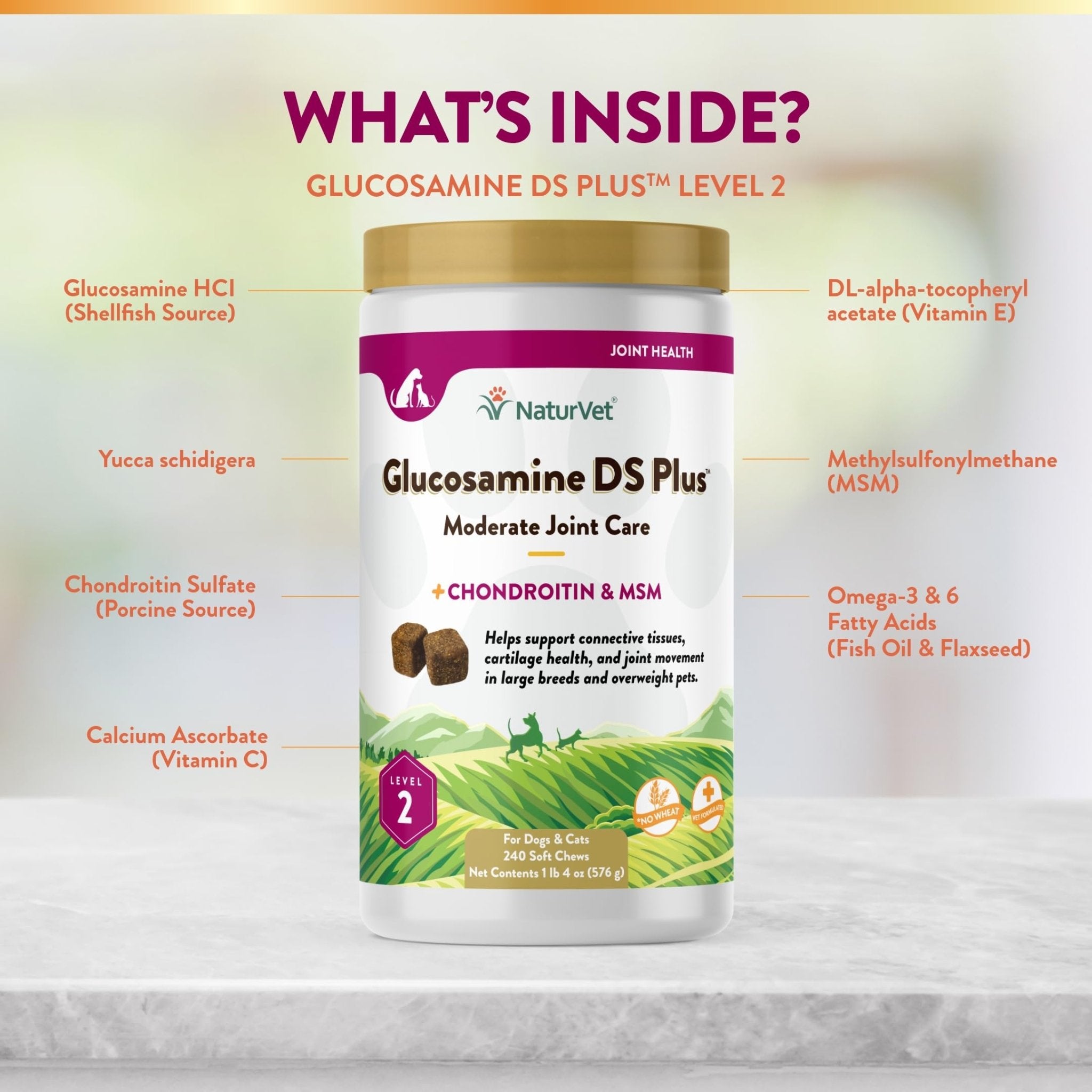 NaturVet – Glucosamine DS Plus - Level 2 Moderate Care – Supports Healthy Hip & Joint Function – Enhanced with Glucosamine, MSM & Chondroitin – for Dogs & Cats – 240 Soft Chews - TrustMedUSA