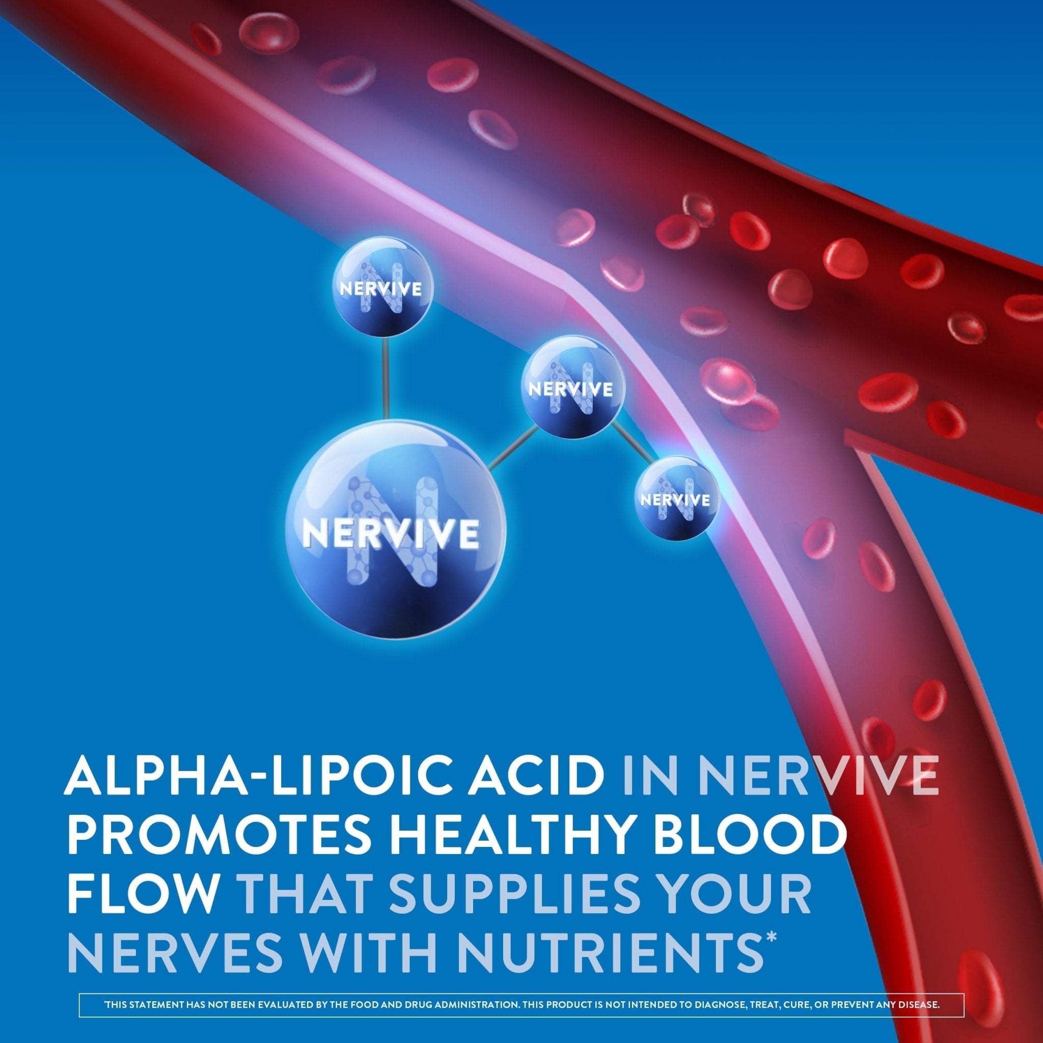 Nervive Nerve Health, Alpha Lipoic Acid, Fortify Nerve Health, Healthy Nerve Function, Healthy Blood Circulation, Supplement, Tablet, 60 Tablets - TrustMedUSA