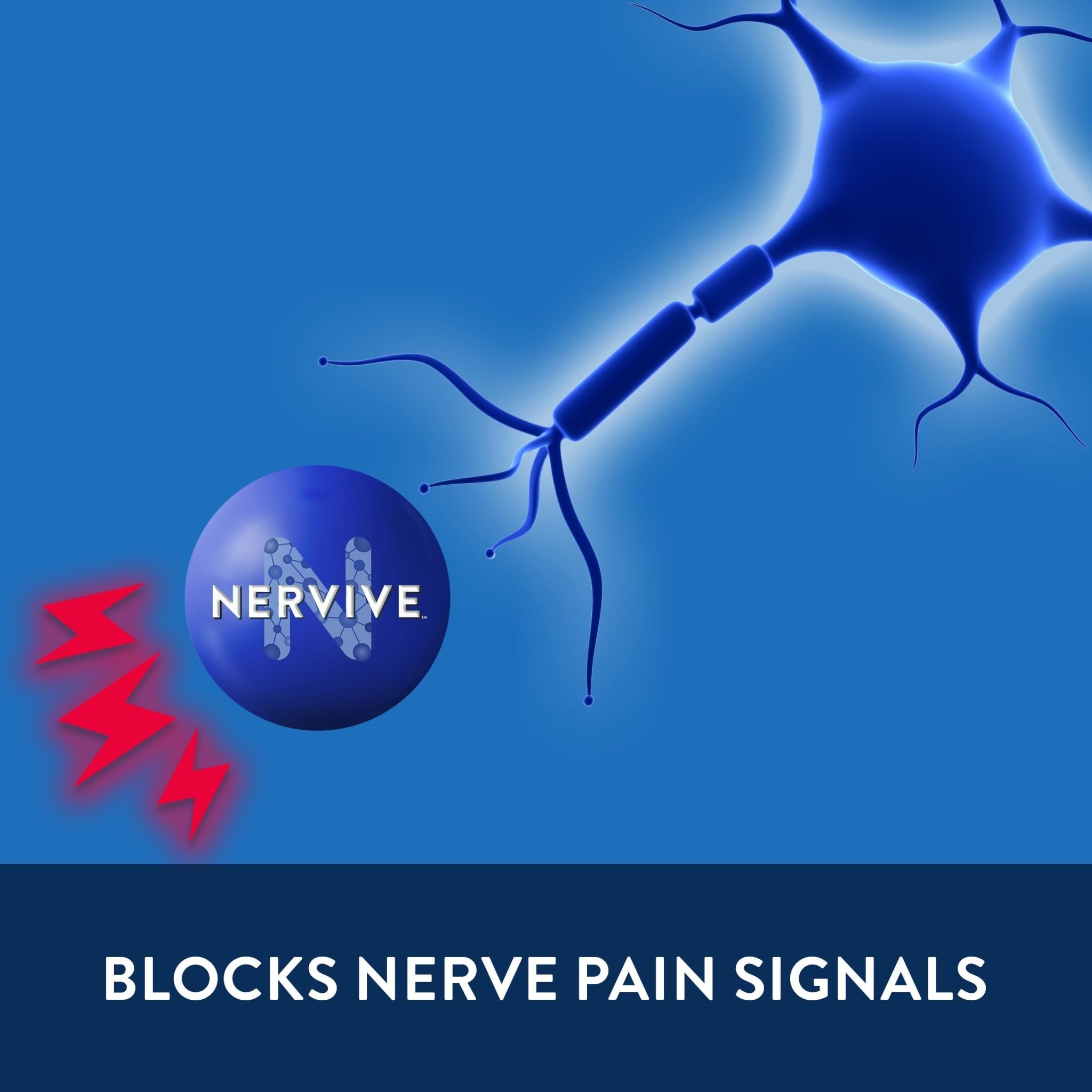 Nervive Pain Relieving Spray, Lidocaine Spray, Nervive Pain Relief, Lidocaine Topical, Foot Pain, Leg Pain, Hand Pain, Max Strength Formula, for Hard to Reach Areas, 4.5oz - TrustMedUSA