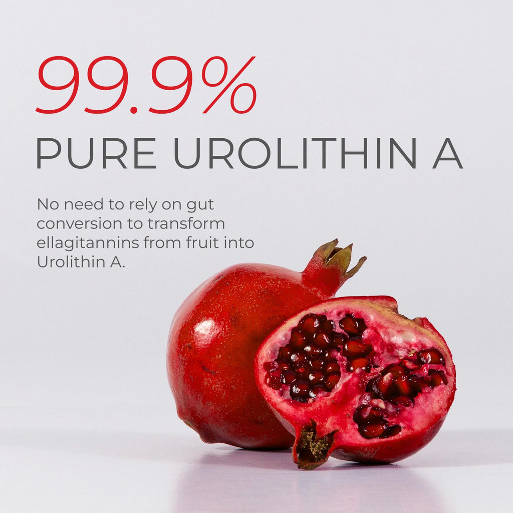 Neurogan Urolithin A PRO Capsules - 1000mg, 120 Ct - Advanced Cellular Health, Post Biotic Supplements - Ultra Micronized Urolithin A Supplement, Sourced from Pomegranate Extract - TrustMedUSA