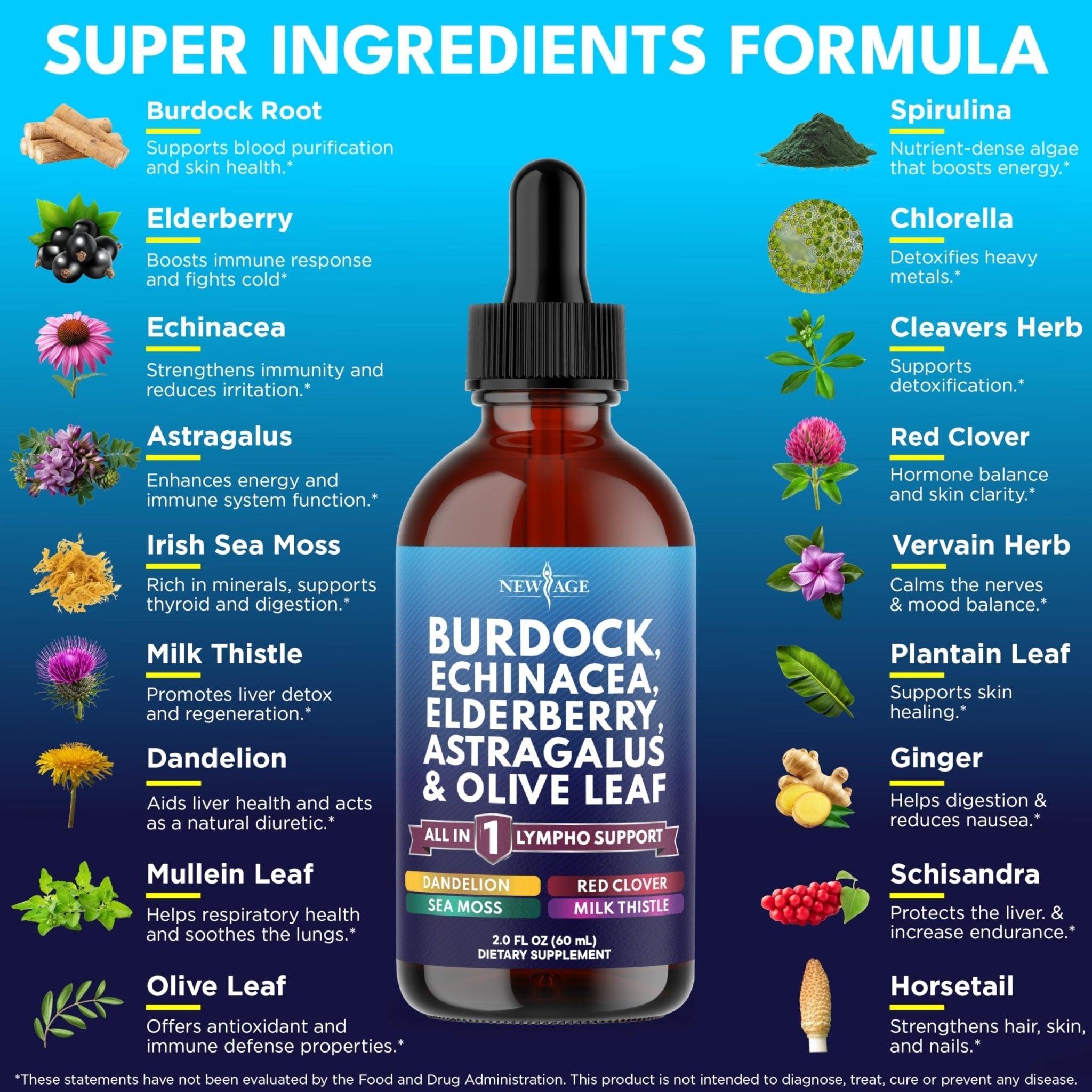 NEW AGE Lymphatic Drainage Supplement - Burdock Lymphatic Support Drops - Burdock Root, Mullein, Echinacea, Elderberry, Dandelion, Astragalus, Milk Thistle, Red Clover - 4 oz - Maple Wellness Supplements