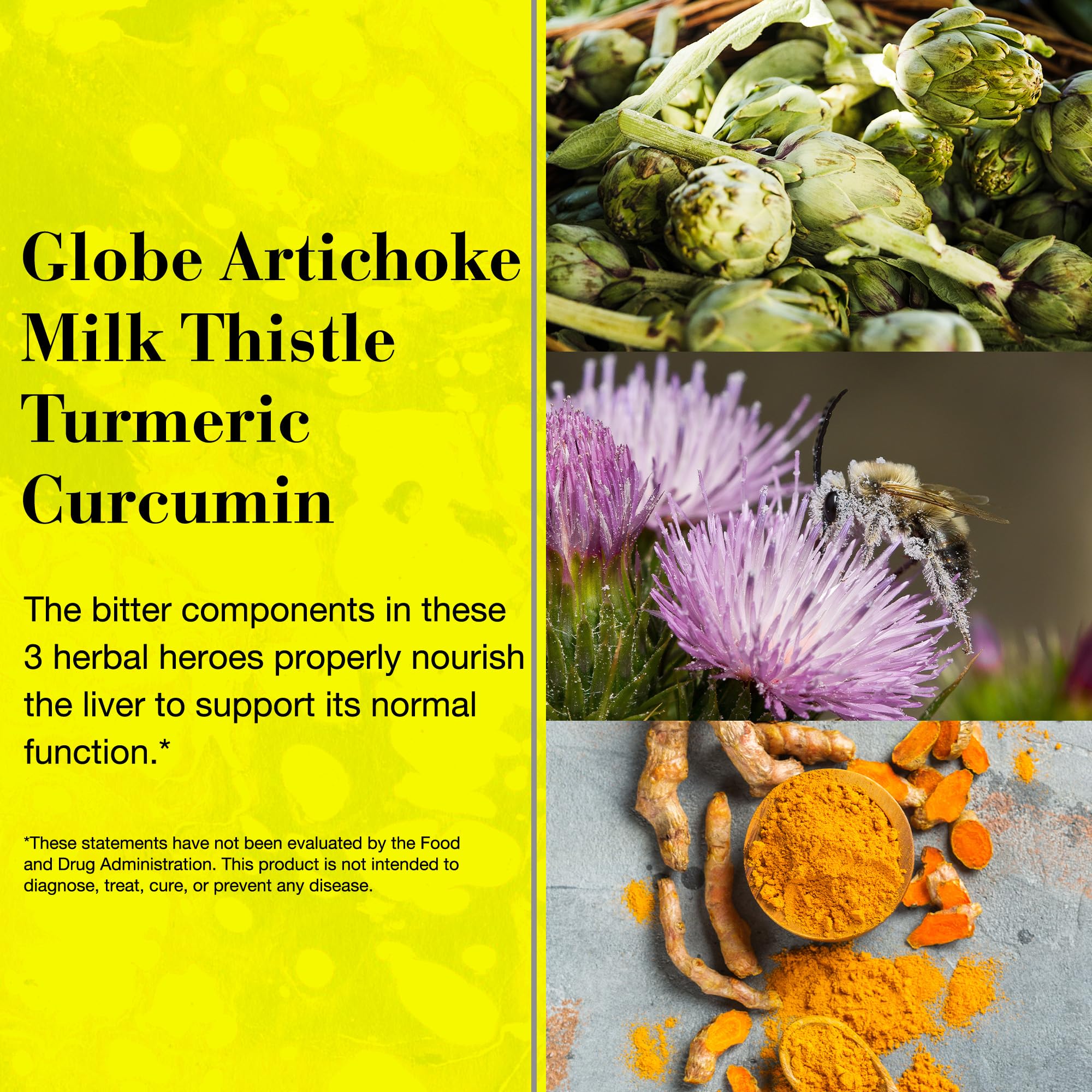 NEW NORDIC Active Liver 30-Day Supply, Daily Liver Supplement, Milk Thistle, Artichoke & Turmeric, 30 Tablets (Pack of 1) - TrustMedUSA