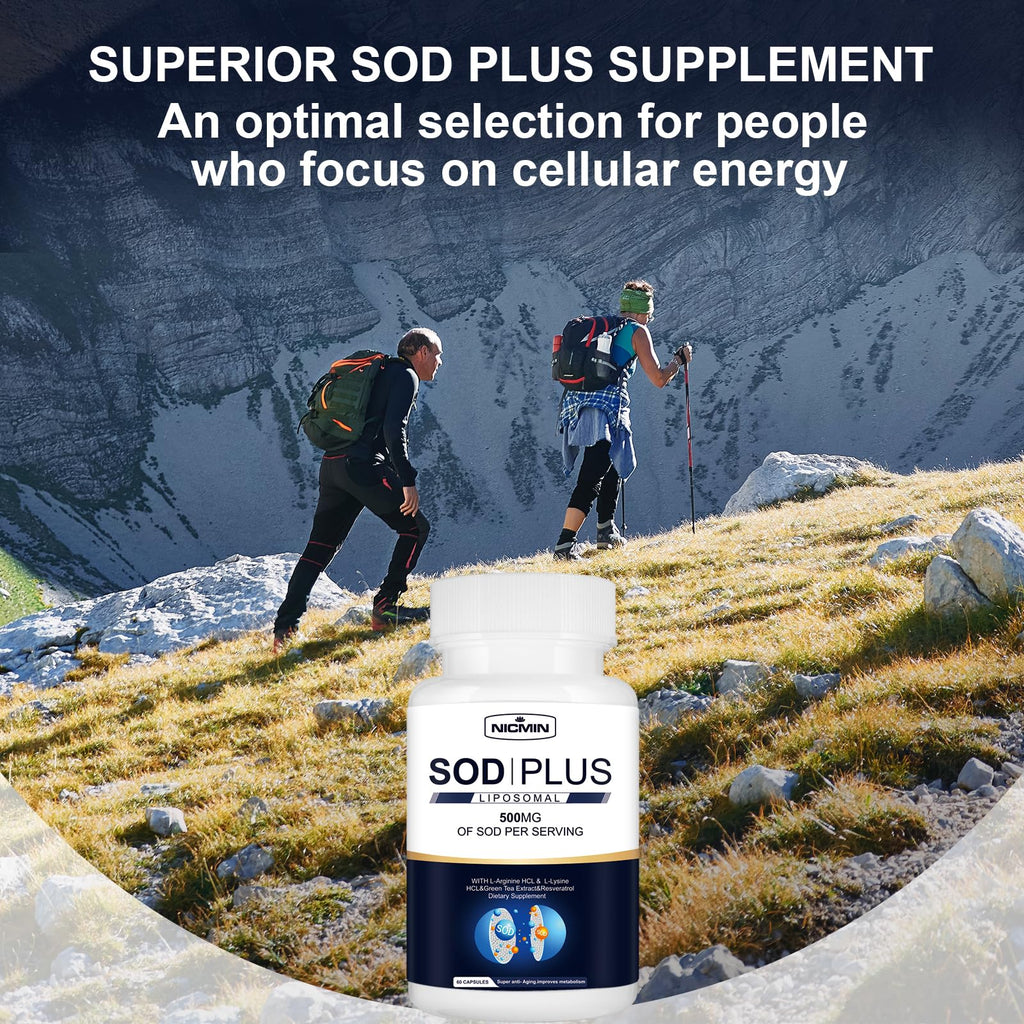 NICMIN 500MG Superoxide Dismutase Supplement - SOD Plus with Liposomal Glutathione, AKG, Green Tea Extract, L-Arginine, Lysine, Resveratrol and Vitamin E for Immune Support, Antioxidant 120 Capsules - TrustMedUSA