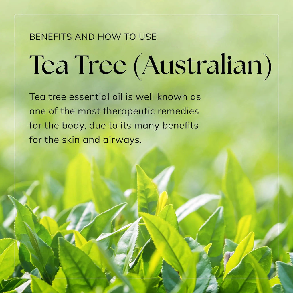 Nikura Pure Australian Tea Tree Essential Oil for Skin, Nail Fungus, Face, Hair, Acne - TrustMedUSA