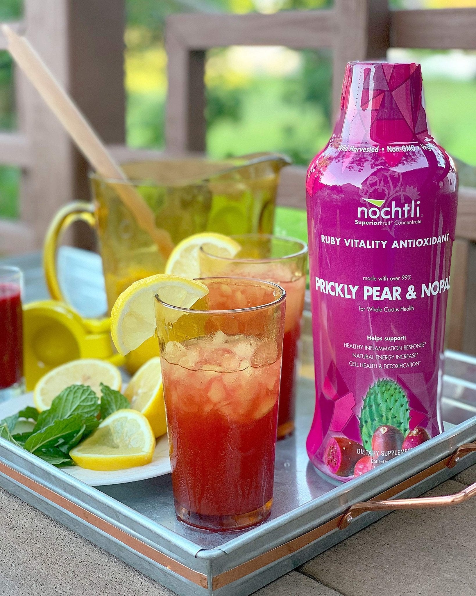 nochtli Recover Prickly Pear Liquid Supplement 1L (4-pack) - TrustMedUSA
