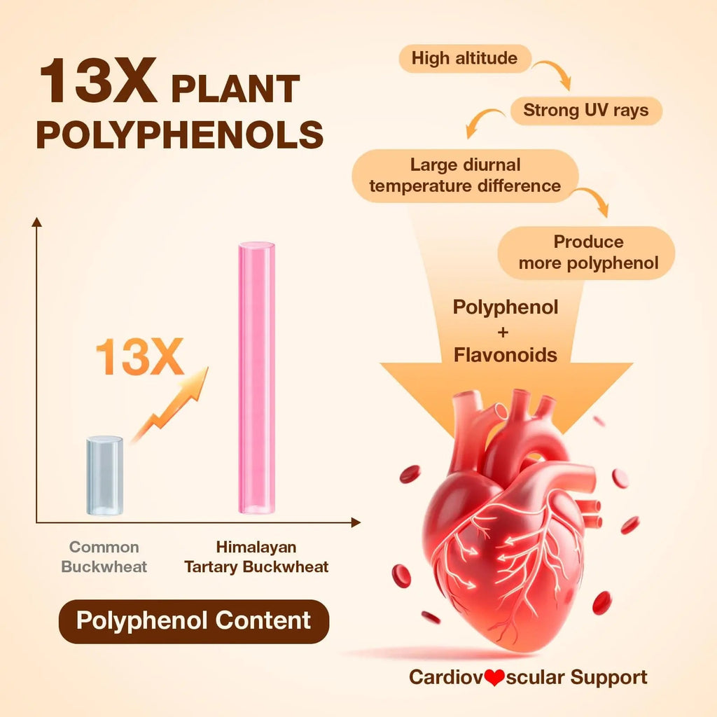 Nokuba Polyphenols Supplement for Immune Support | Himalayan Tartary Buckwheat Sourced | Polyphenol Superfood with Quercetin, Curcumin | Immune Booster, Antioxidant, Anti-inflammatory - 120 Capsules - TrustMedUSA