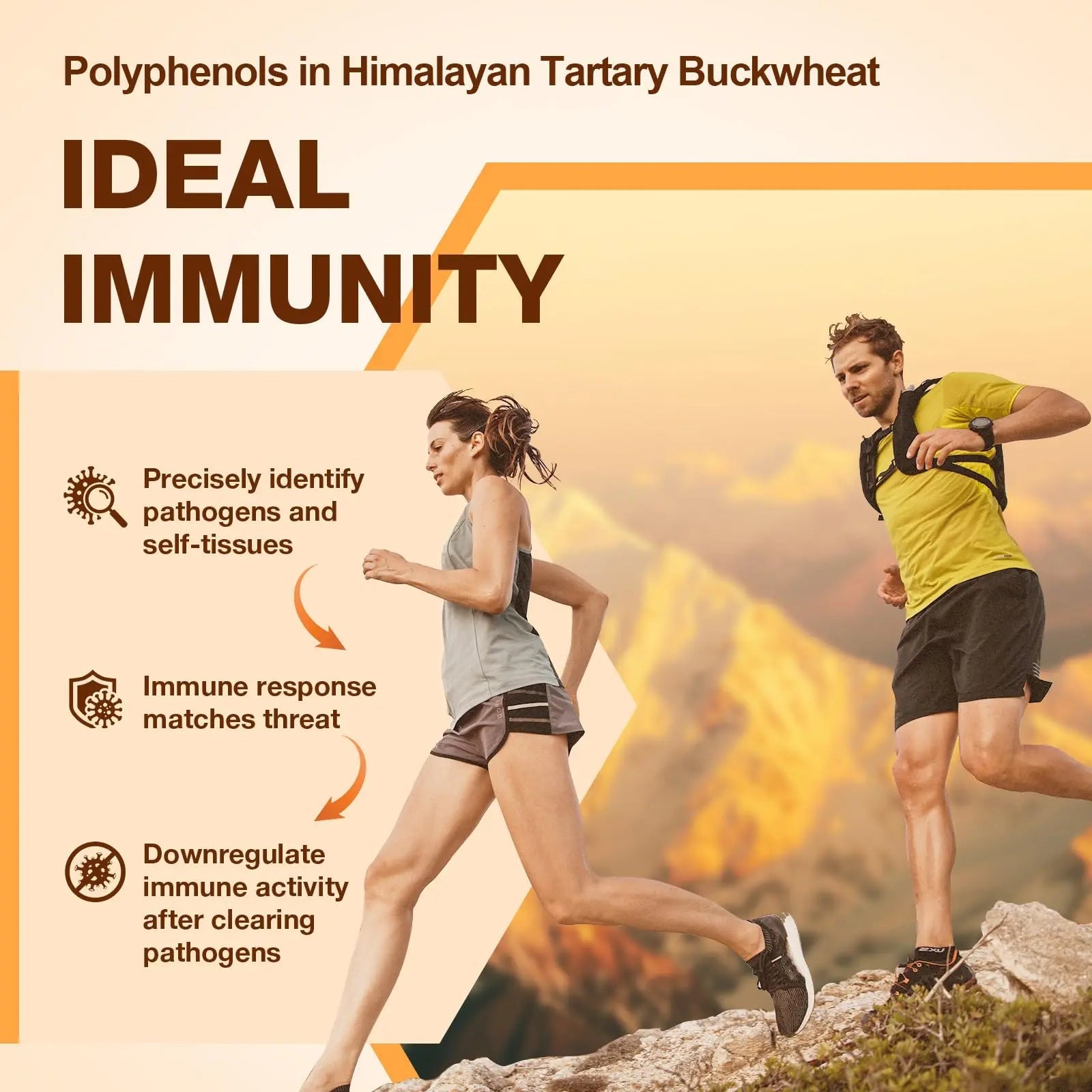 Nokuba Polyphenols Supplement for Immune Support | Himalayan Tartary Buckwheat Sourced | Polyphenol Superfood with Quercetin, Curcumin | Immune Booster, Antioxidant, Anti-inflammatory - 120 Capsules - TrustMedUSA