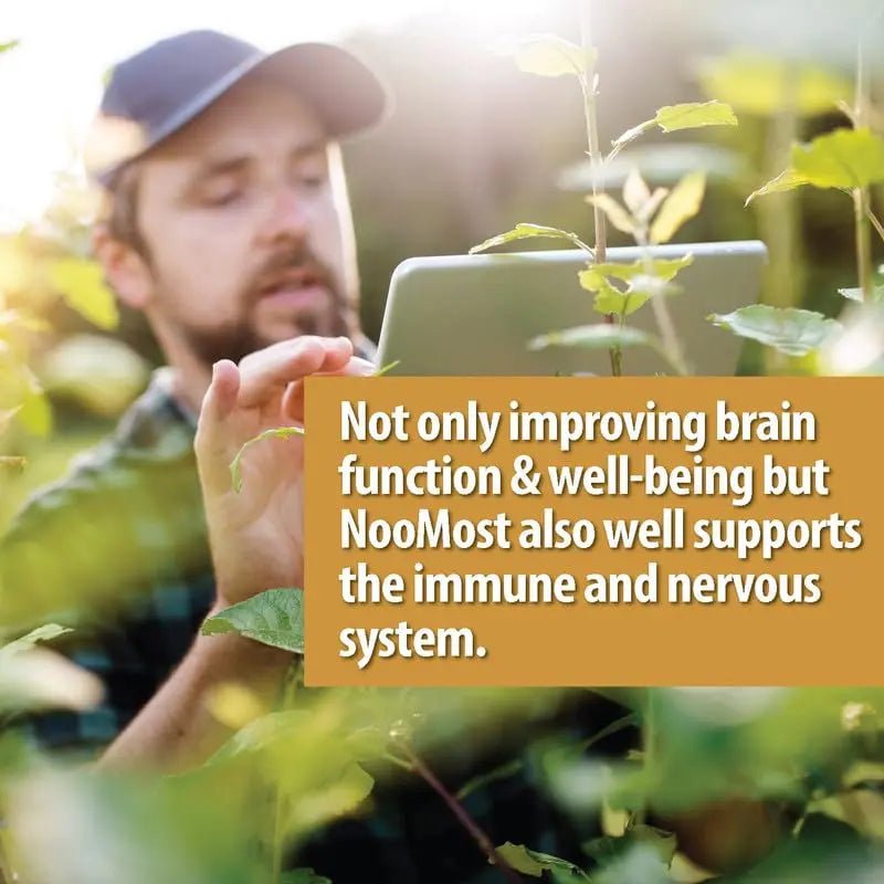 NooMost Organic Lions Mane Supplement Capsules 5400mg, Ginkgo Biloba 120mg - TrustMedUSA