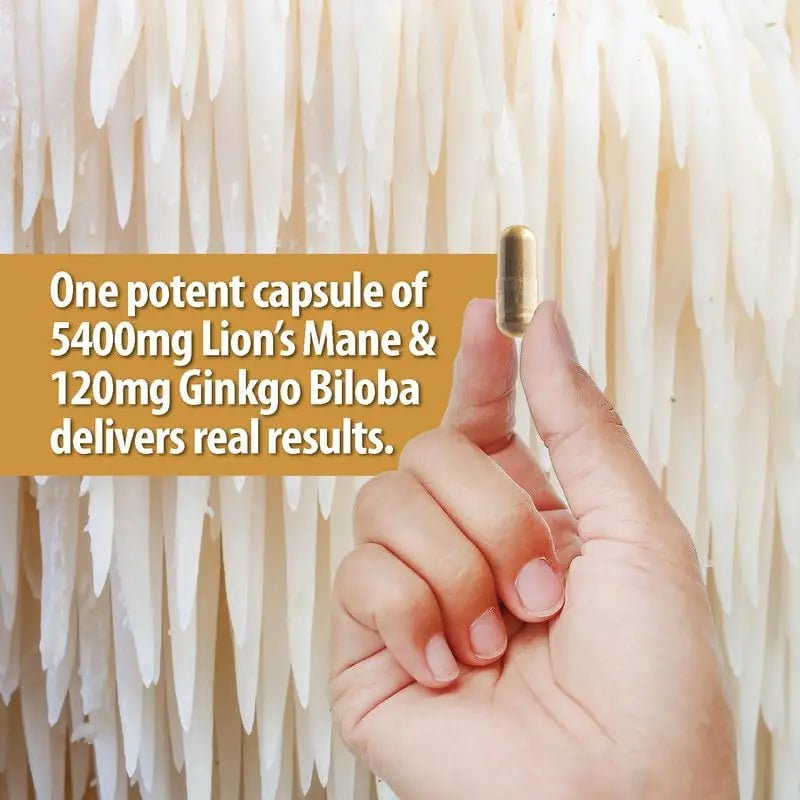 NooMost Organic Lions Mane Supplement Capsules 5400mg, Ginkgo Biloba 120mg - TrustMedUSA