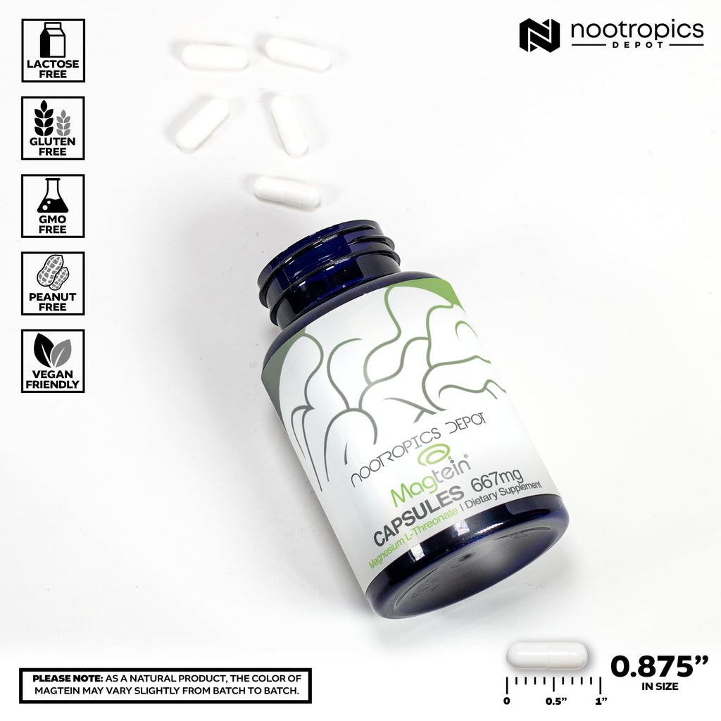 Nootropics Depot Magtein Magnesium L-Threonate Capsules | 90 Count | Mineral Supplement | Natural | Supports Mitochondrial Function | Boosts Energy and Cognitive Function - TrustMedUSA