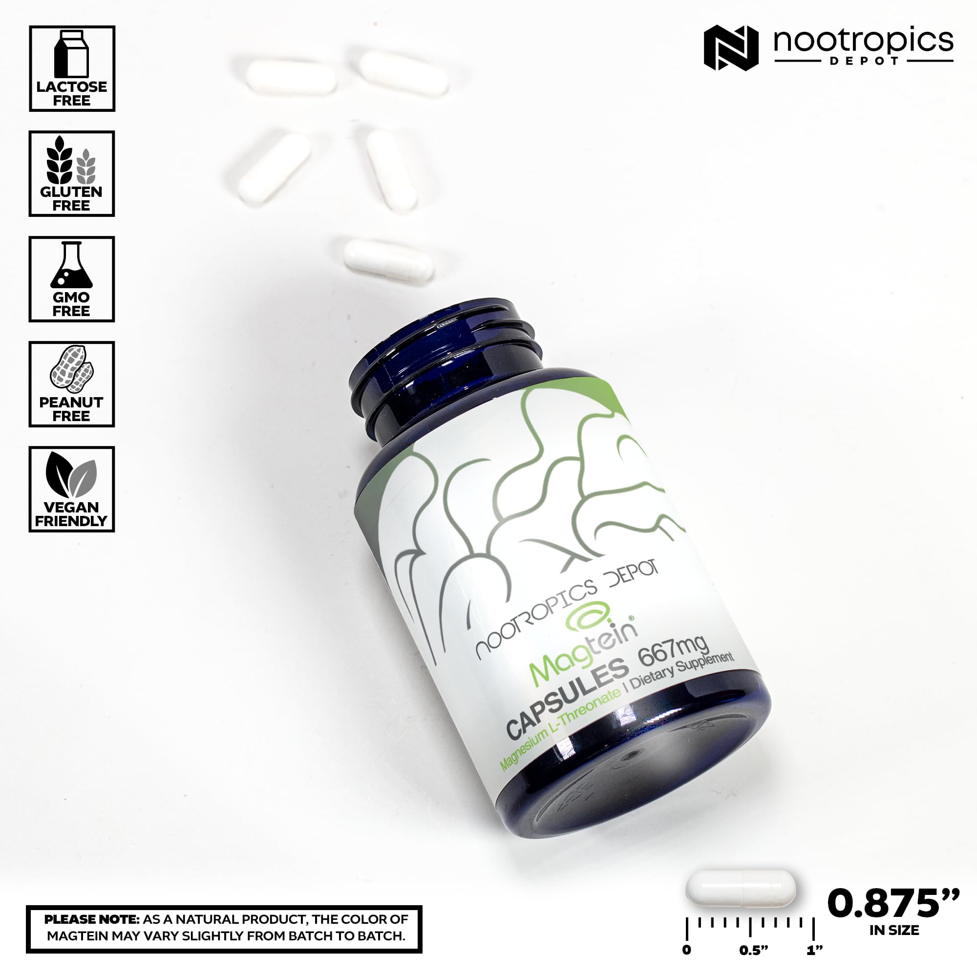 Nootropics Depot Magtein Magnesium L-Threonate Capsules | 90 Count | Mineral Supplement | Natural | Supports Mitochondrial Function | Boosts Energy and Cognitive Function - TrustMedUSA