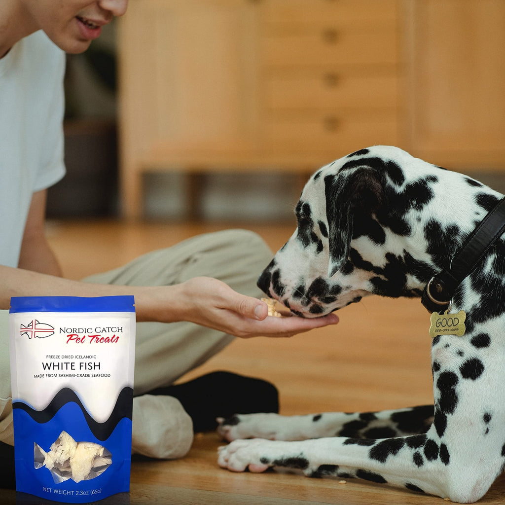 Nordic Catch Freeze Dried Fish Pet Treats from Iceland - Pure, All Natural Seafood Snacks for Dogs, Cats and Other Pets - Human Safe Ingredients, Made from Sashimi Grade Seafood - White Fish - TrustMedUSA