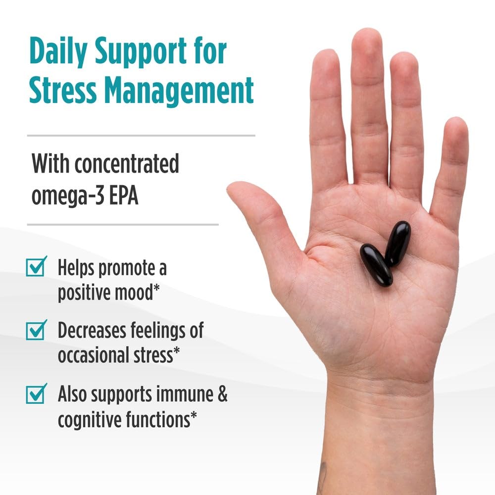 Nordic Naturals Mood Support Omega Blend - Unflavored - 60 Soft Gels - 1400 mg Omega-3 Supplement with EPA & DHA - Promotes Balanced Mood and Serenity - Non-GMO - 30 Servings - TrustMedUSA