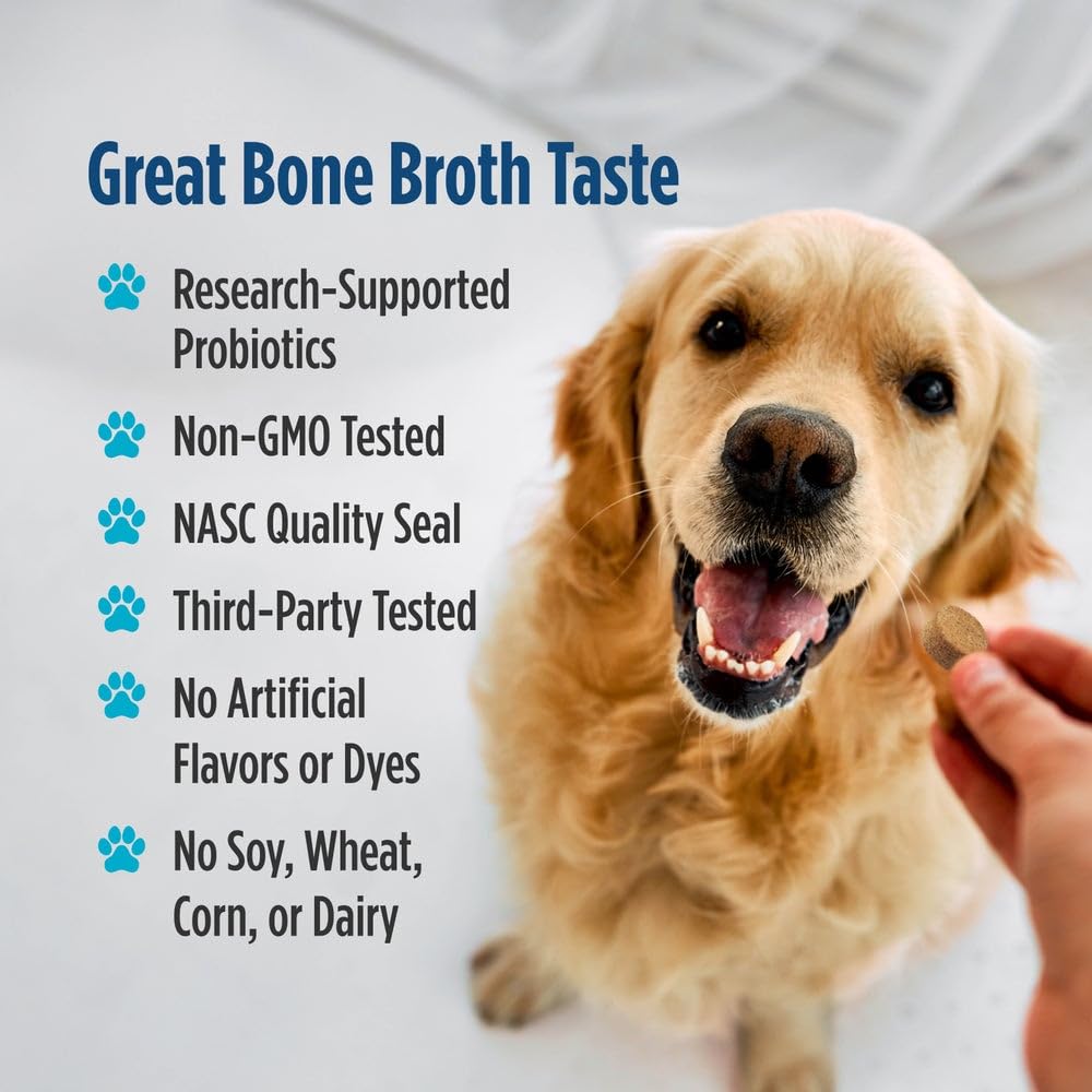 Nordic Naturals Pet Digestive Support with Probiotics, Pork Bone Broth Flavor - 30 Soft Chews - Nutritional Supplement for a Healthy Digestive System and GI Support - 30 Non-GMO Chews - TrustMedUSA
