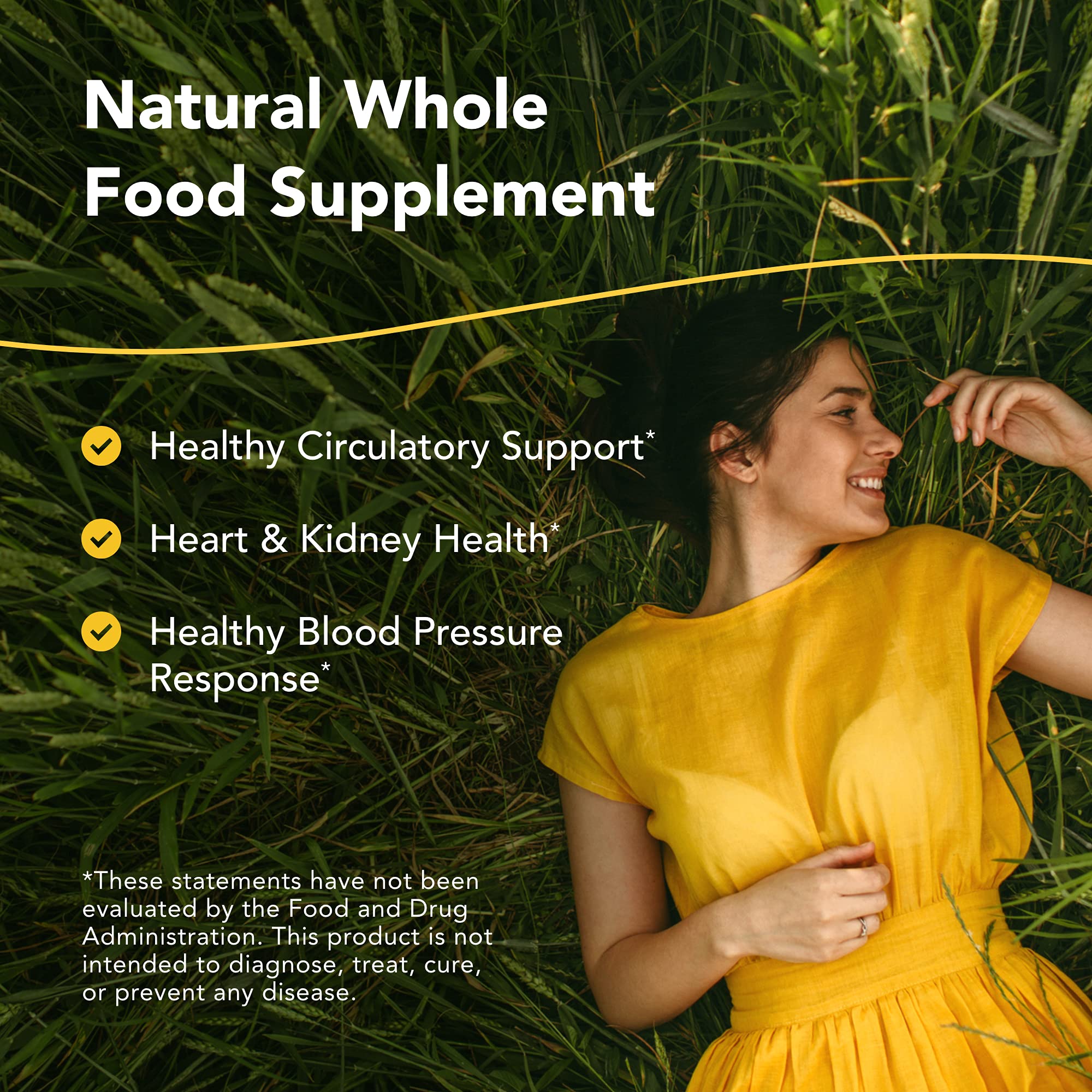 NORTH AMERICAN HERB & SPICE Hyper-eeZ - 90 Vegi Caps - Herbs, Spices, Flowers, Berry Blend - Blood Pressure & Circulation Support - Assists with Heart, Circulation, Kidneys - Non-GMO - 90 Servings - TrustMedUSA