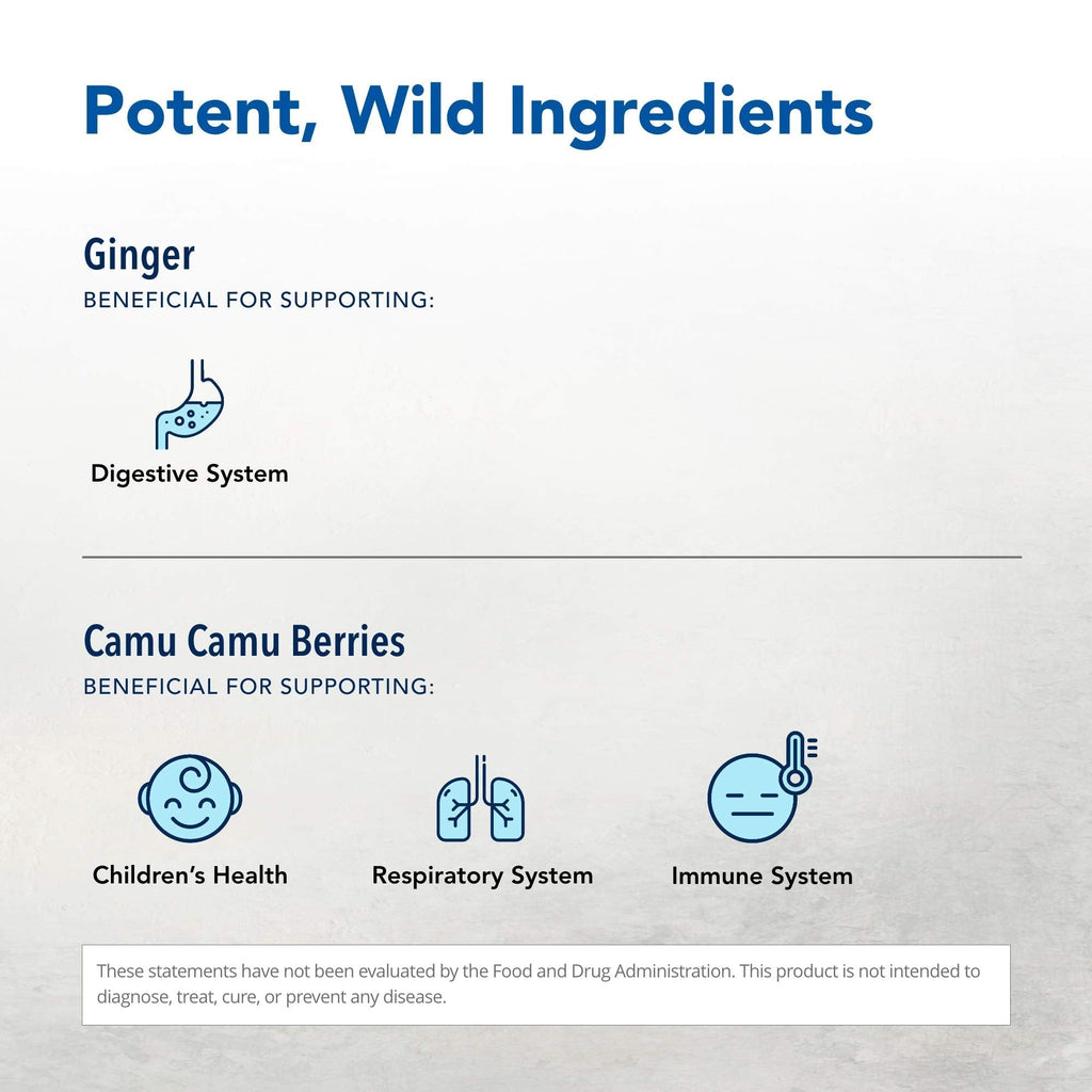 NORTH AMERICAN HERB & SPICE Inflam-eeZ - 90 Capsules - Supports Healthy Immune & Inflammatory Response - Ginger Root, Camu Camu Berries, Bromelain & Papain Plus - Non-GMO - 45 Total Servings - TrustMedUSA