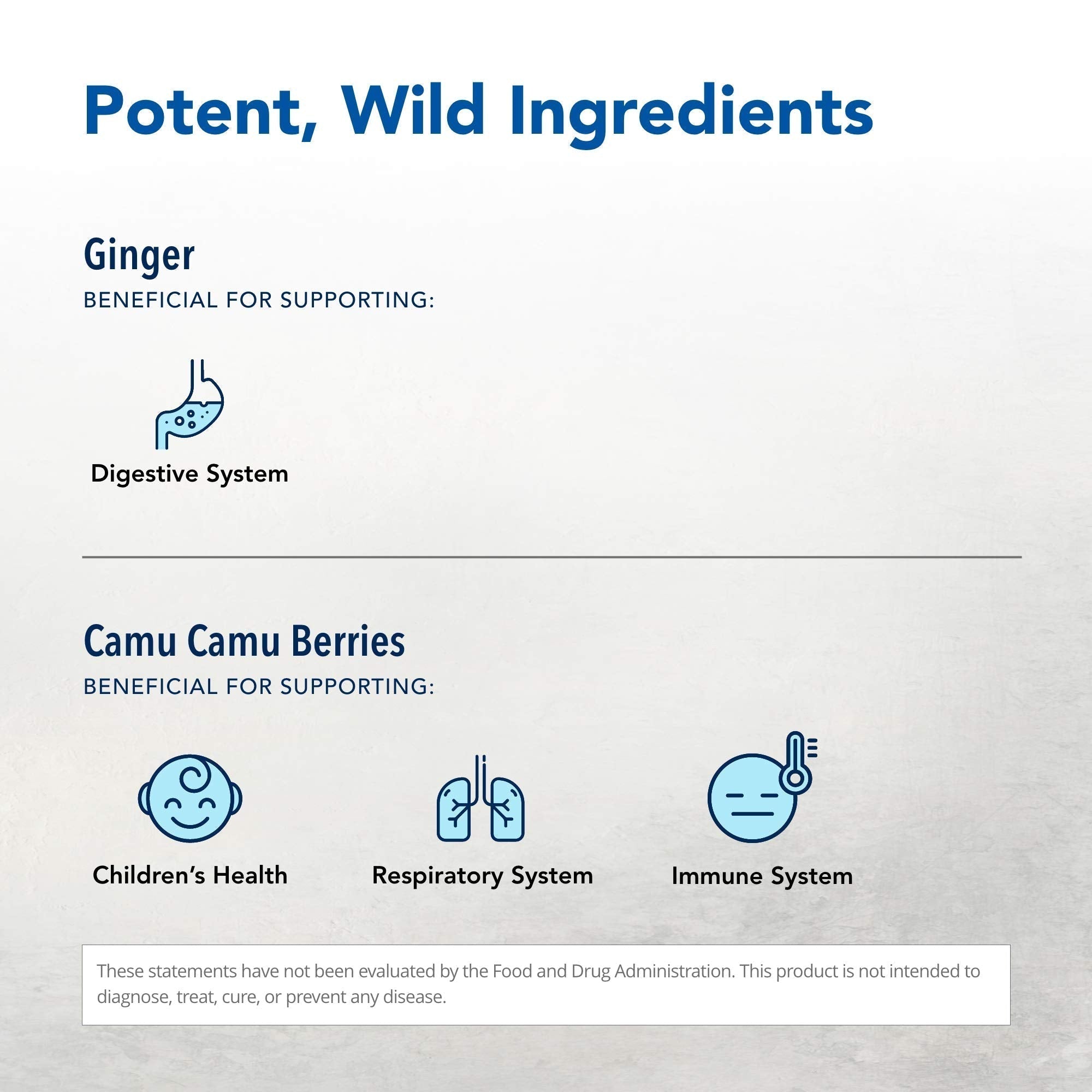 NORTH AMERICAN HERB & SPICE Inflam-eeZ - 90 Capsules - Supports Healthy Immune & Inflammatory Response - Ginger Root, Camu Camu Berries, Bromelain & Papain Plus - Non-GMO - 45 Total Servings - TrustMedUSA