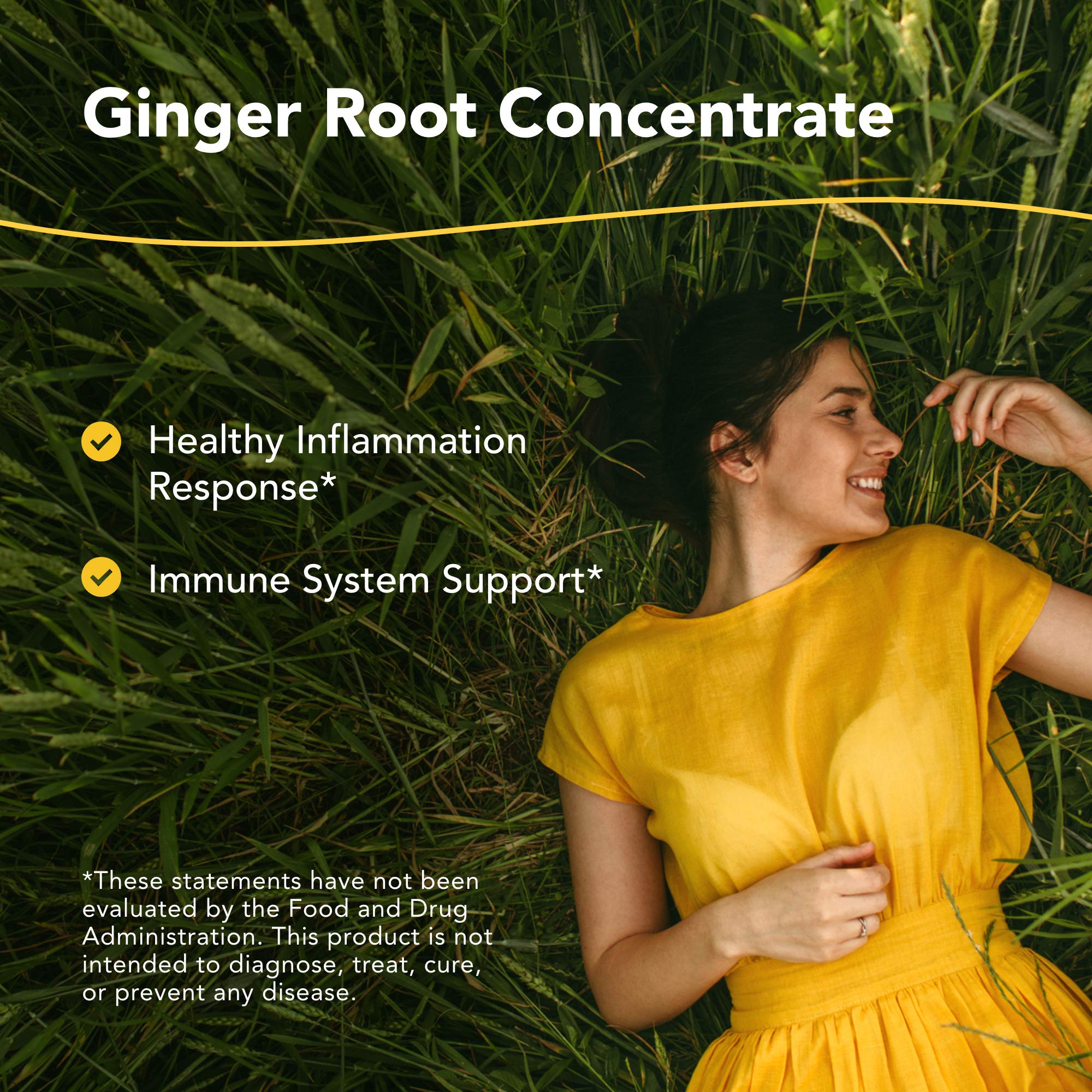 NORTH AMERICAN HERB & SPICE Inflam-eeZ - 90 Capsules - Supports Healthy Immune & Inflammatory Response - Ginger Root, Camu Camu Berries, Bromelain & Papain Plus - Non-GMO - 45 Total Servings - TrustMedUSA