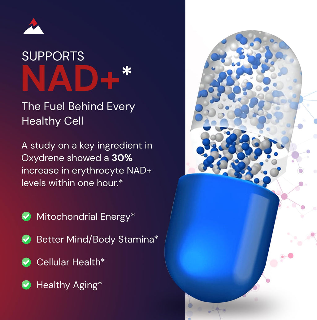 Novex Biotech Oxydrene NAD+ Enhancer - Natural Supplement Promoting Metabolism and Cardiovascular Support for Men and Women - (60 Capsules) - TrustMedUSA
