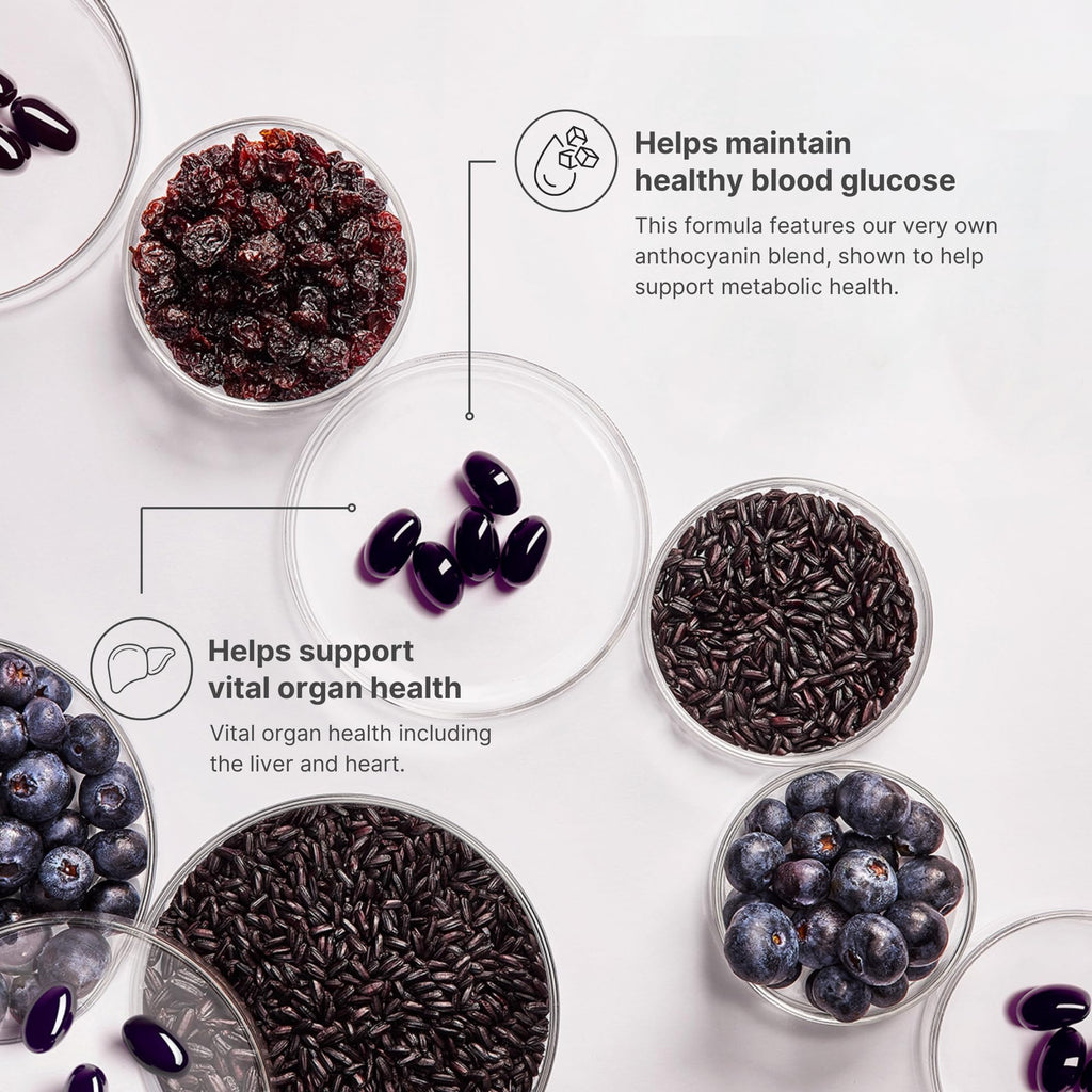 Nu Skin ageLOC Meta | Premium Dietary Supplement | Advanced Soft Gel Capsules Promoting Metabolic Health, Immune Support, Antioxidant Defense, and Improved Gut Health - TrustMedUSA
