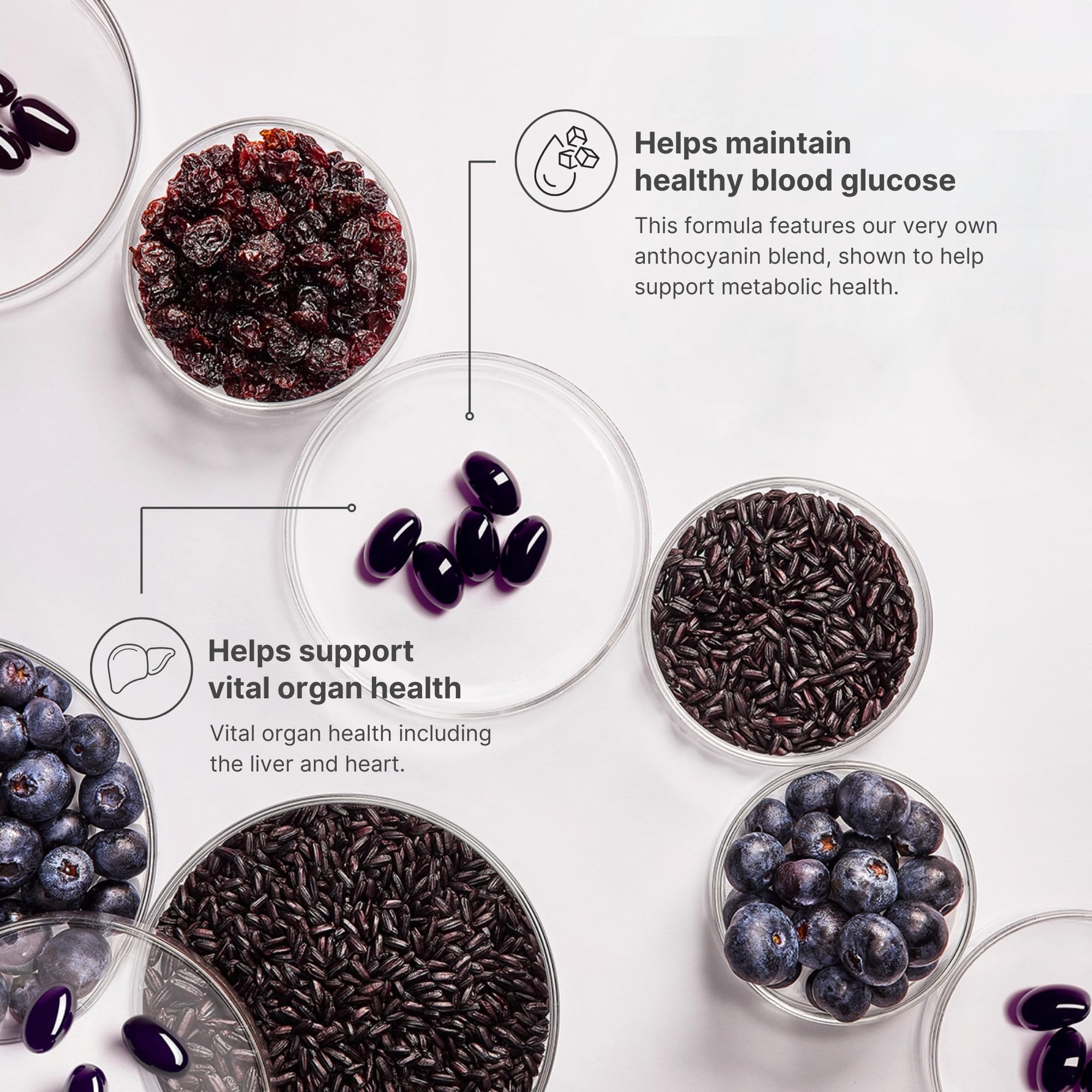 Nu Skin ageLOC Meta | Premium Dietary Supplement | Advanced Soft Gel Capsules Promoting Metabolic Health, Immune Support, Antioxidant Defense, and Improved Gut Health - TrustMedUSA