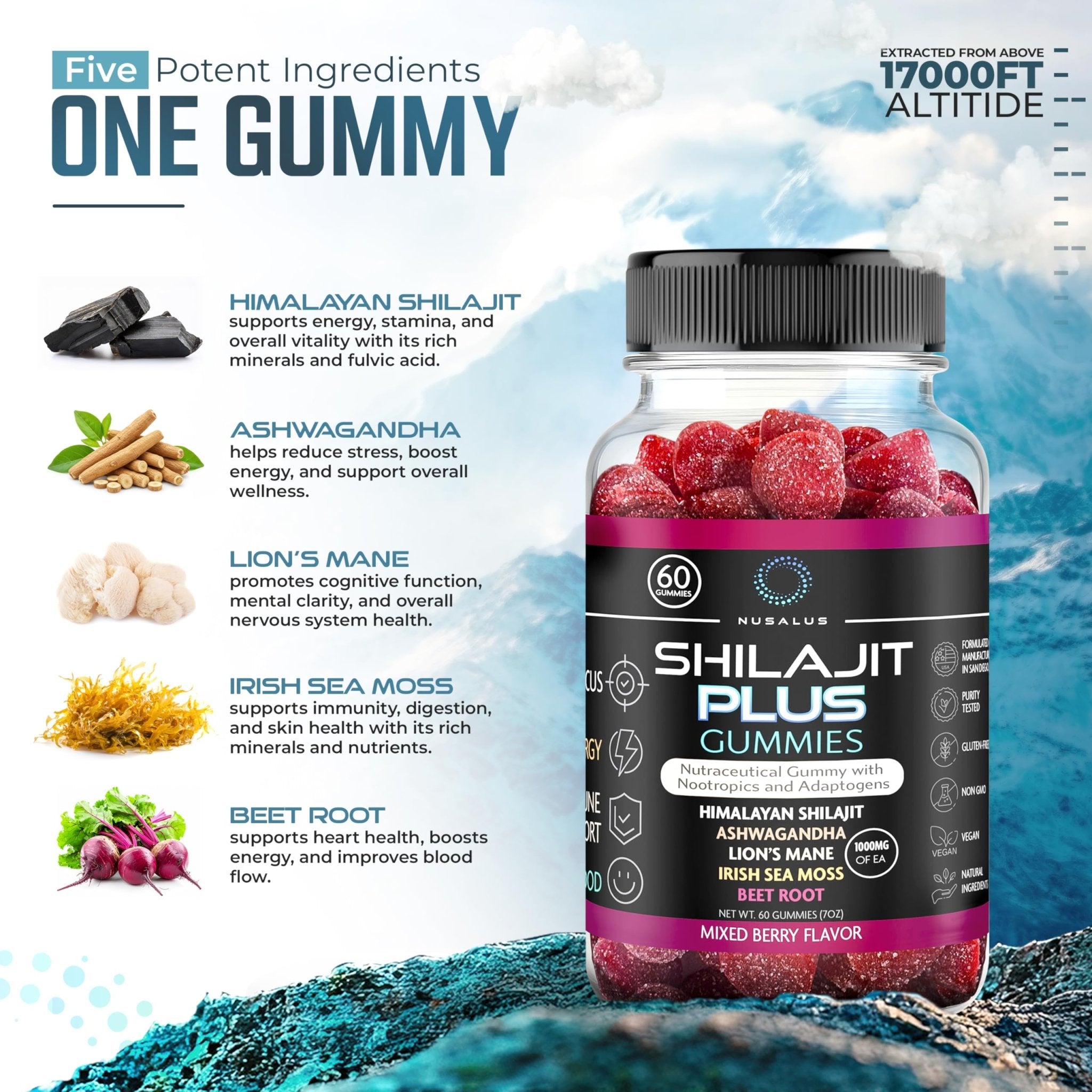 Nusalus Shilajit Plus Gummies – 5-in-1 Adaptogen Energy & Focus Supplement | Shilajit, Ashwagandha, Lion’s Mane, Sea Moss & Beet Root | Natural Energy & Stress Support | Made in USA, Vegan, 60ct - TrustMedUSA