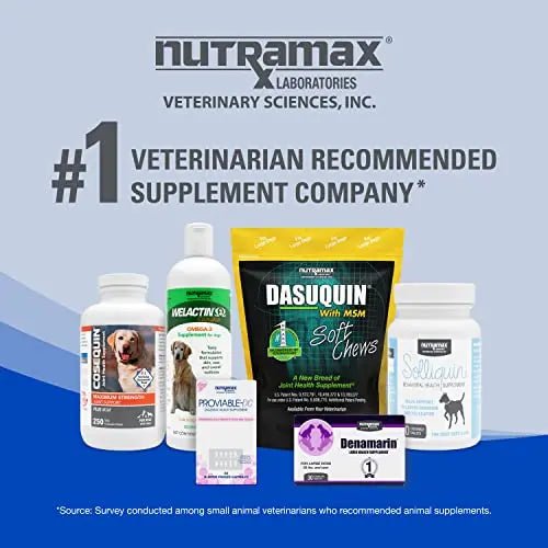Nutramax Cobalequin B12 Supplement for Cats and Small Dogs, 45 Count (Pack of 1) - TrustMedUSA