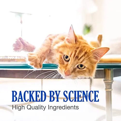 Nutramax Cobalequin B12 Supplement for Cats and Small Dogs, 45 Count (Pack of 1) - TrustMedUSA