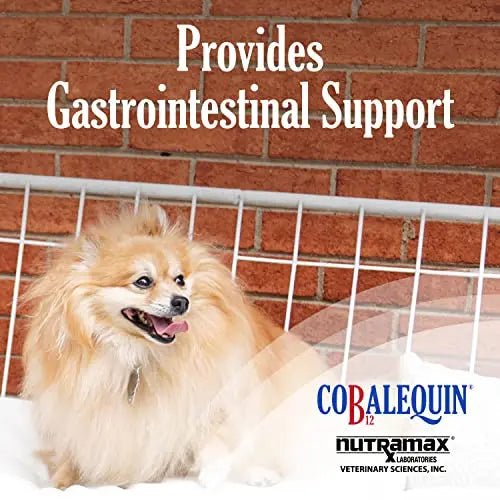 Nutramax Cobalequin B12 Supplement for Cats and Small Dogs, 45 Count (Pack of 1) - TrustMedUSA