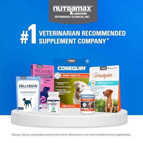 Nutramax Cosequin for Dogs Joint Health Supplement, Contains Glucosamine for Dogs, Chondroitin, MSM and Omega-3s, Supports Joint and Skin and Coat Health, Soft Chews, 60 Count - TrustMedUSA