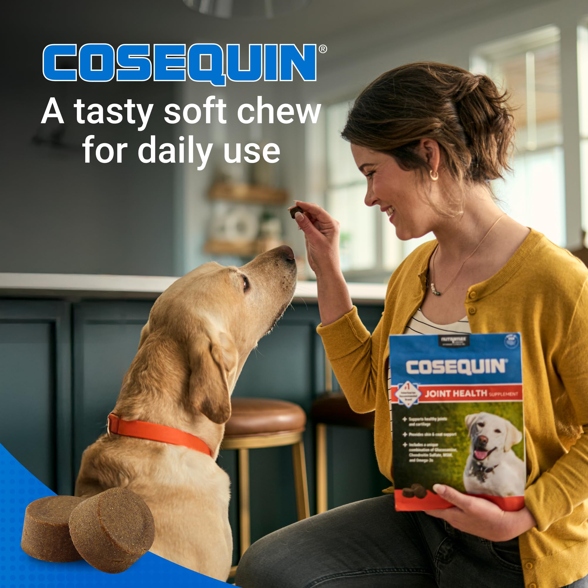 Nutramax Cosequin for Dogs Joint Health Supplement, Contains Glucosamine for Dogs, Chondroitin, MSM and Omega-3s, Supports Joint and Skin and Coat Health, Soft Chews, 60 Count - TrustMedUSA