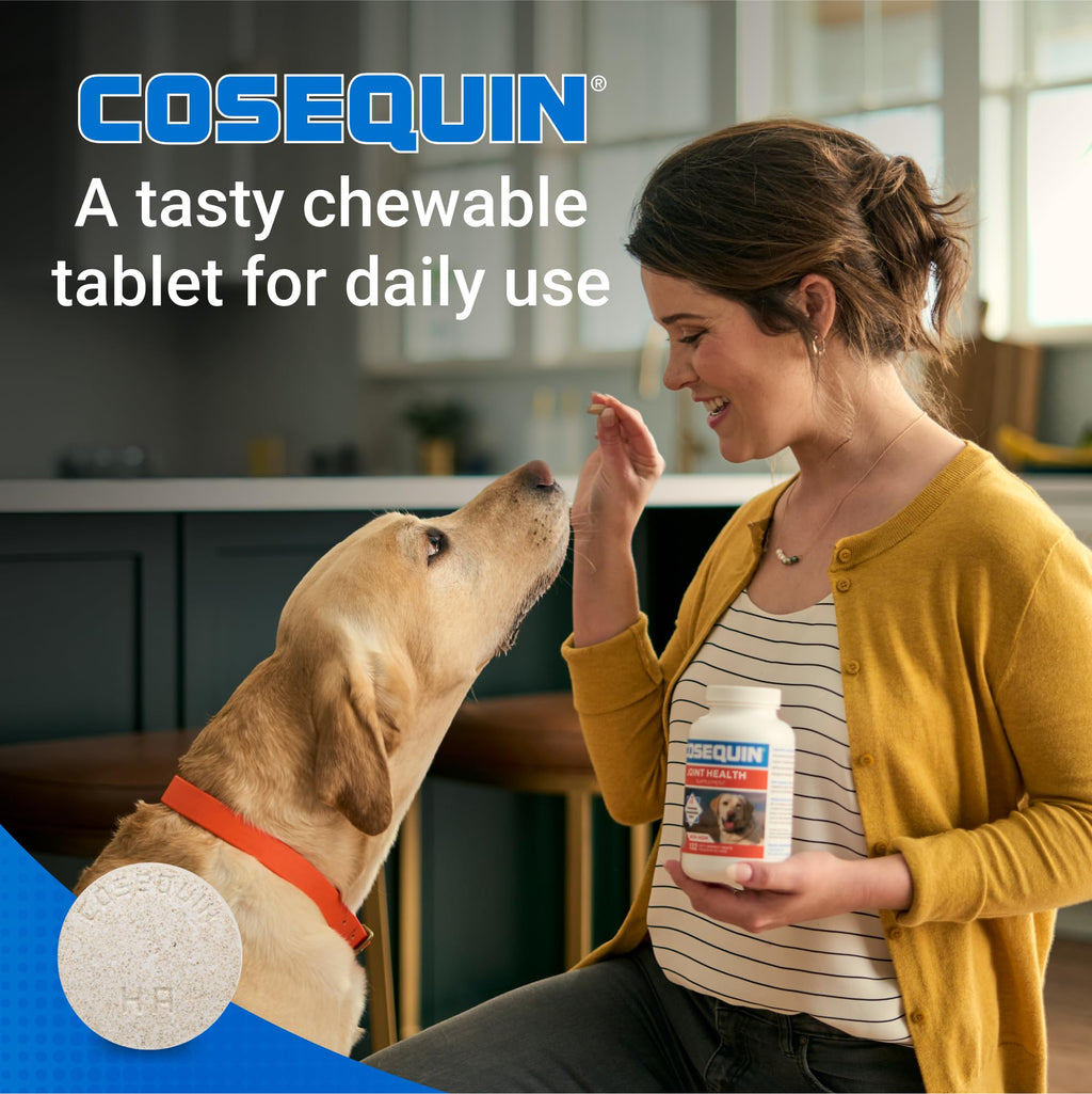 Nutramax Cosequin for Dogs Joint Health Supplement, Contains Glucosamine for Dogs, Plus Chondroitin, MSM and HA, Supports Healthy Joints, Chewable Tablets, 75 Count - TrustMedUSA