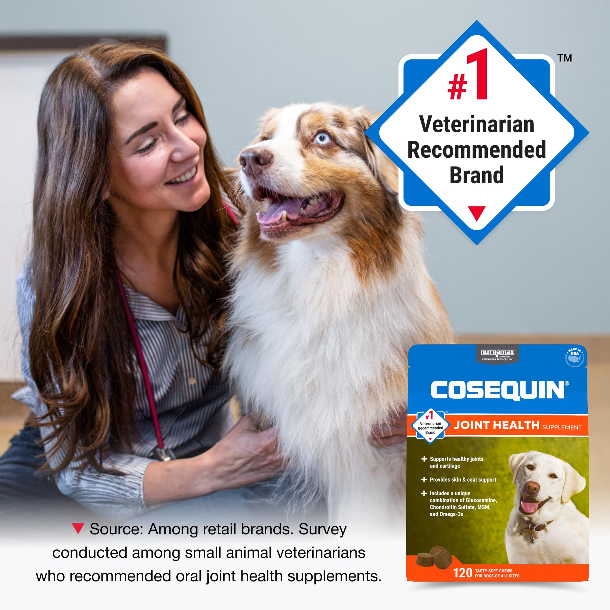 Nutramax Cosequin for Dogs Joint Health Supplement, Contains Glucosamine, Plus Chondroitin, MSM and Omega-3s, Supports Joint and Skin and Coat Health, Soft Chews, 120 Count - TrustMedUSA