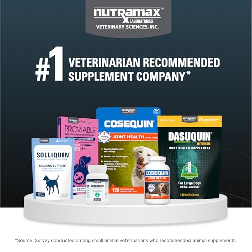 Nutramax Dasuquin for Large Dogs, Joint Health Supplement, Contains Glucosamine for Dogs, Plus Chondroitin, ASU and More, Supports Healthy Joints, Soft Chews, 150 Count - TrustMedUSA
