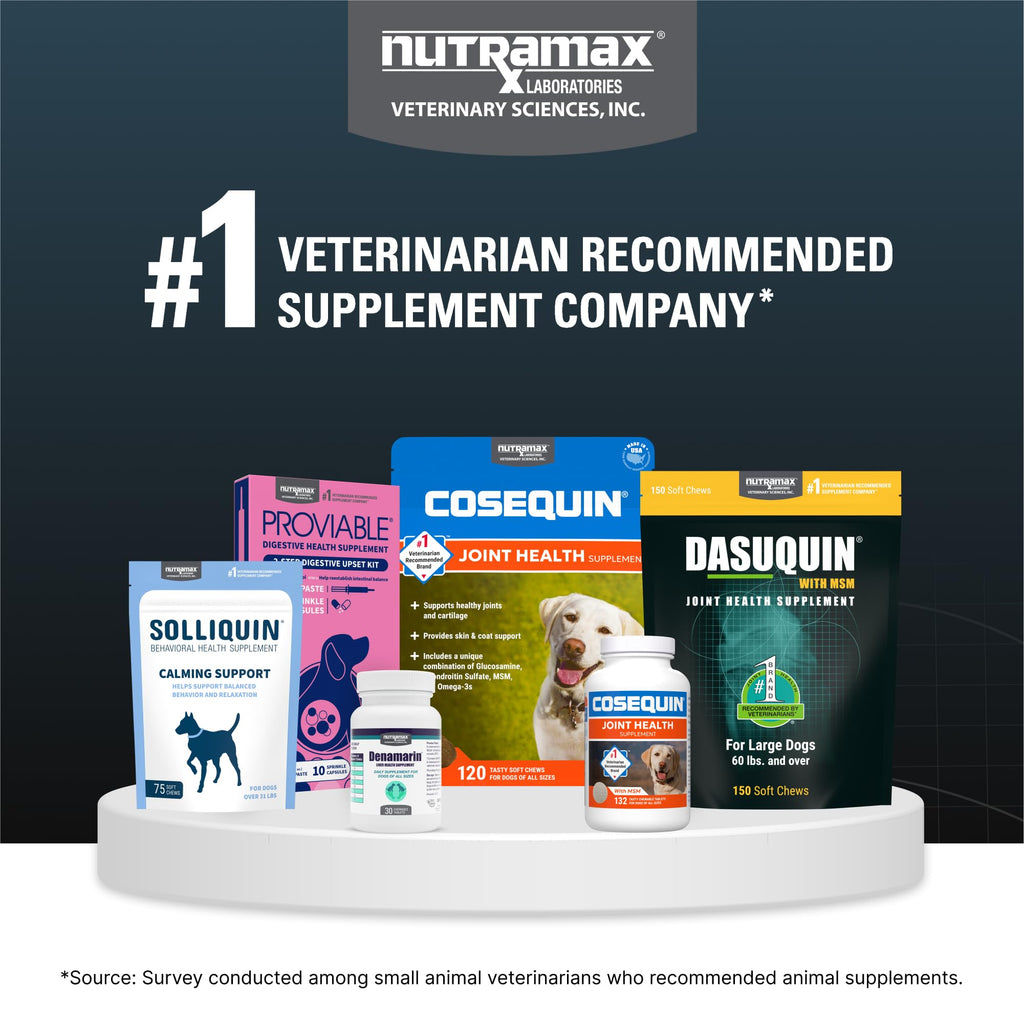 Nutramax Dasuquin for Large Dogs, Joint Health Supplement, Contains Glucosamine for Dogs, Plus Chondroitin, ASU and More, Supports Healthy Joints, Soft Chews, 84 Count - TrustMedUSA