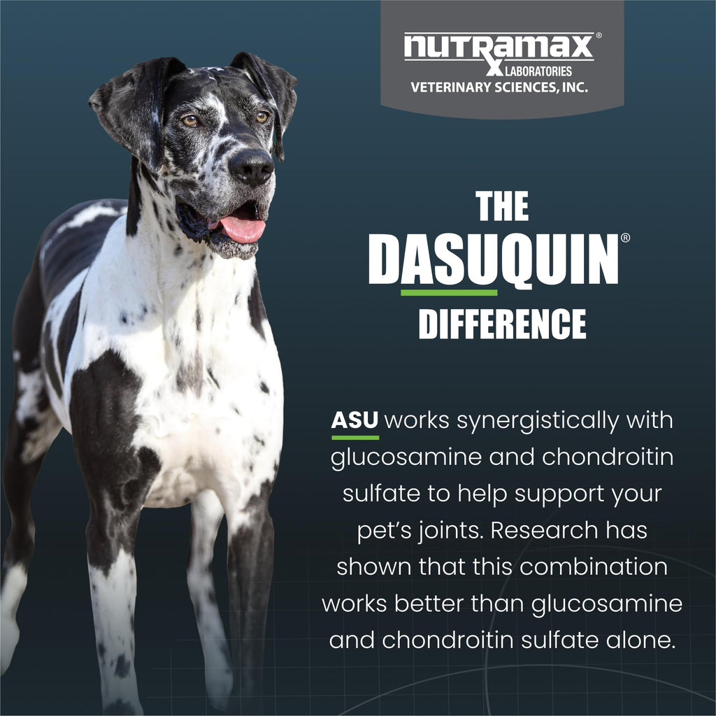 Nutramax Dasuquin for Large Dogs, Joint Health Supplement, Contains Glucosamine for Dogs, Plus Chondroitin, ASU and More, Supports Healthy Joints, Soft Chews, 84 Count - TrustMedUSA