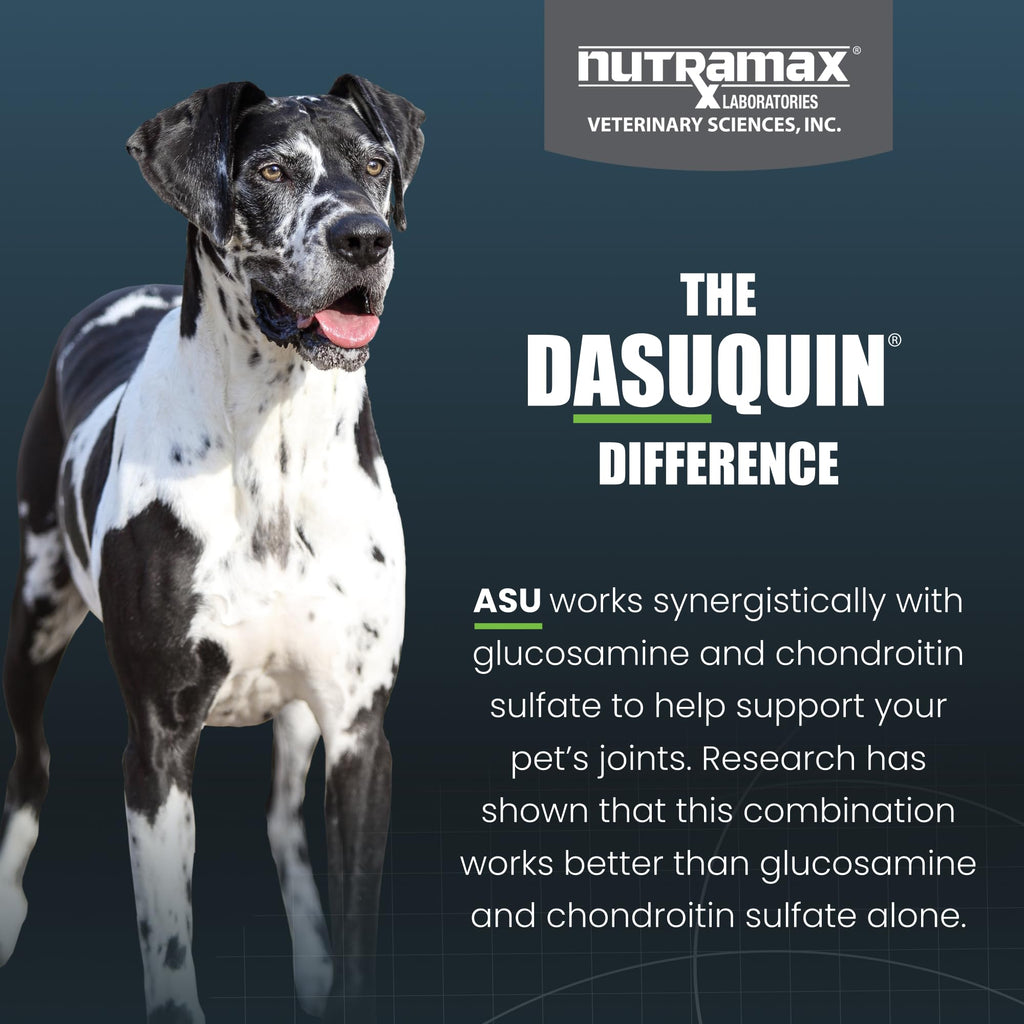 Nutramax Dasuquin for Large Dogs, Joint Health Supplement, Contains Glucosamine for Dogs, Plus Chondroitin, ASU, MSM and More, Supports Healthy Joints, Chewable Tablets, 150 Count - TrustMedUSA