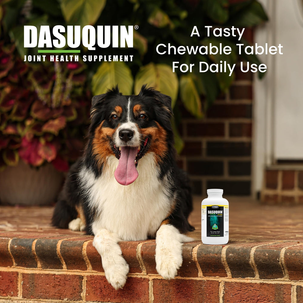 Nutramax Dasuquin for Large Dogs, Joint Health Supplement, Contains Glucosamine for Dogs, Plus Chondroitin, ASU, MSM and More, Supports Healthy Joints, Chewable Tablets, 150 Count - TrustMedUSA