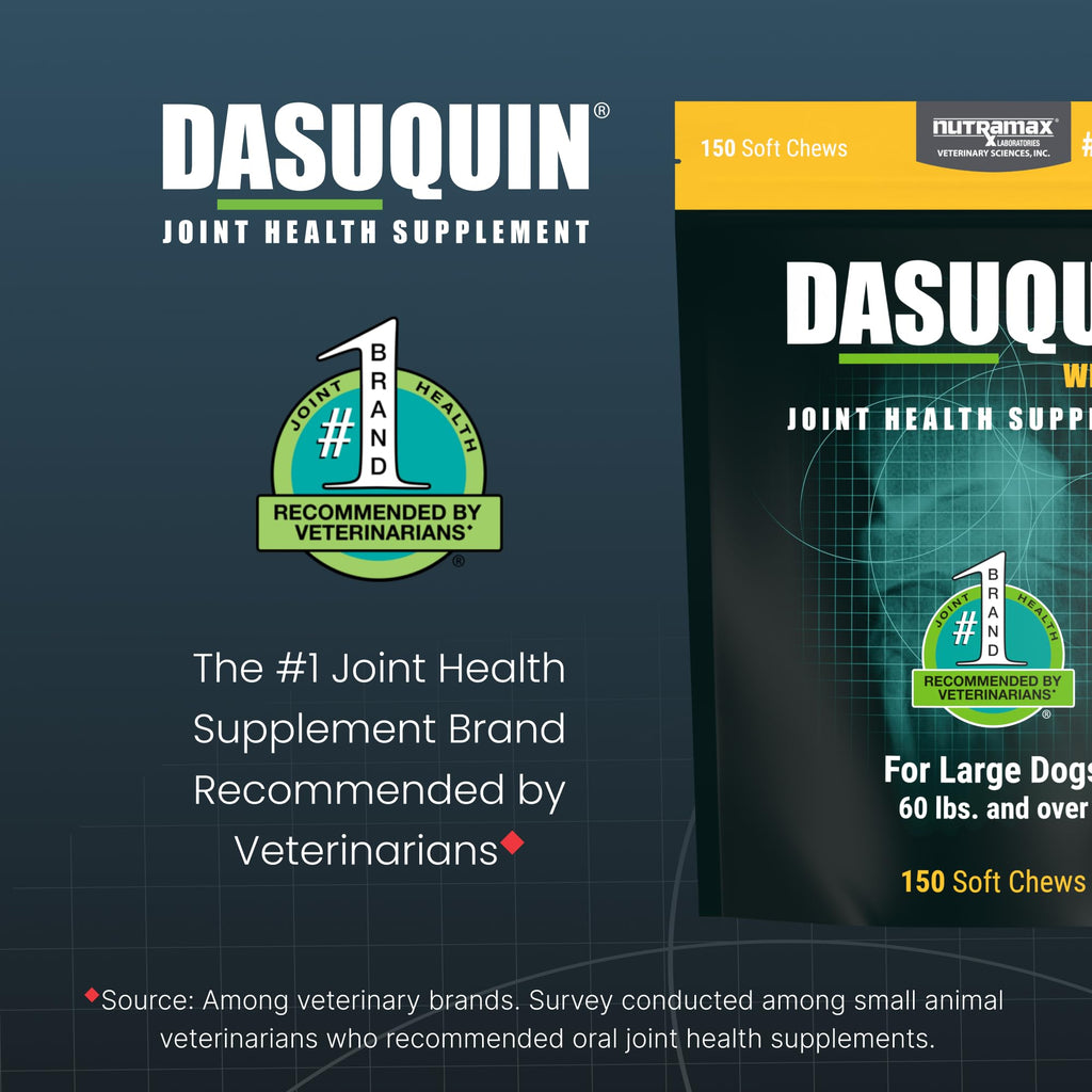 Nutramax Dasuquin for Large Dogs, Joint Health Supplement, Contains Glucosamine for Dogs, Plus Chondroitin, ASU, MSM and More, Supports Healthy Joints, Soft Chews, 150 Count - TrustMedUSA