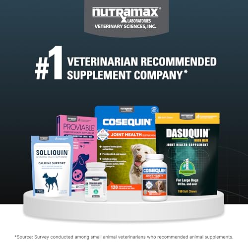 Nutramax Dasuquin for Large Dogs, Joint Health Supplement, Contains Glucosamine for Dogs, Plus Chondroitin, ASU, MSM and More, Supports Healthy Joints, Soft Chews, 150 Count - TrustMedUSA