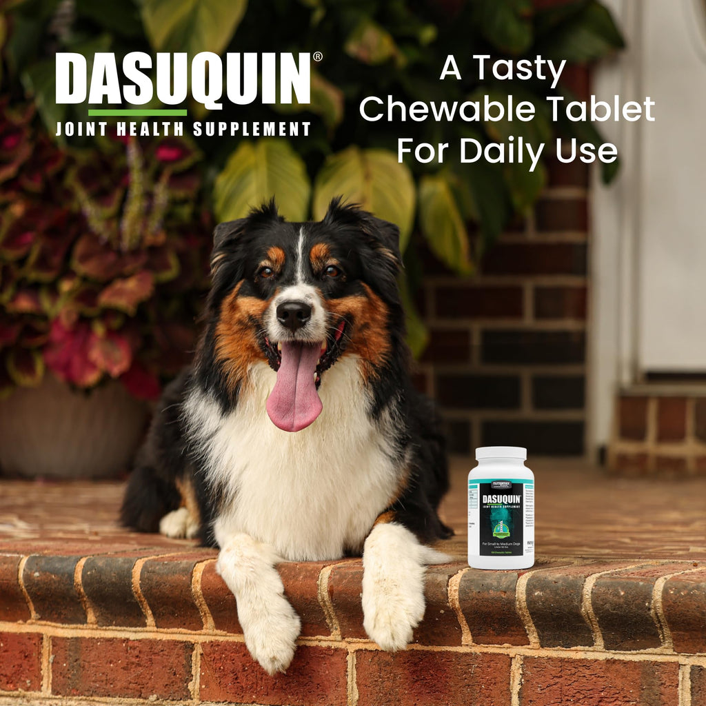 Nutramax Dasuquin for Small to Medium Dogs, Joint Health Supplement, Contains Glucosamine for Dogs, Plus Chondroitin, ASU and More, Supports Healthy Joints, Chewable Tablets, 150 Count - TrustMedUSA