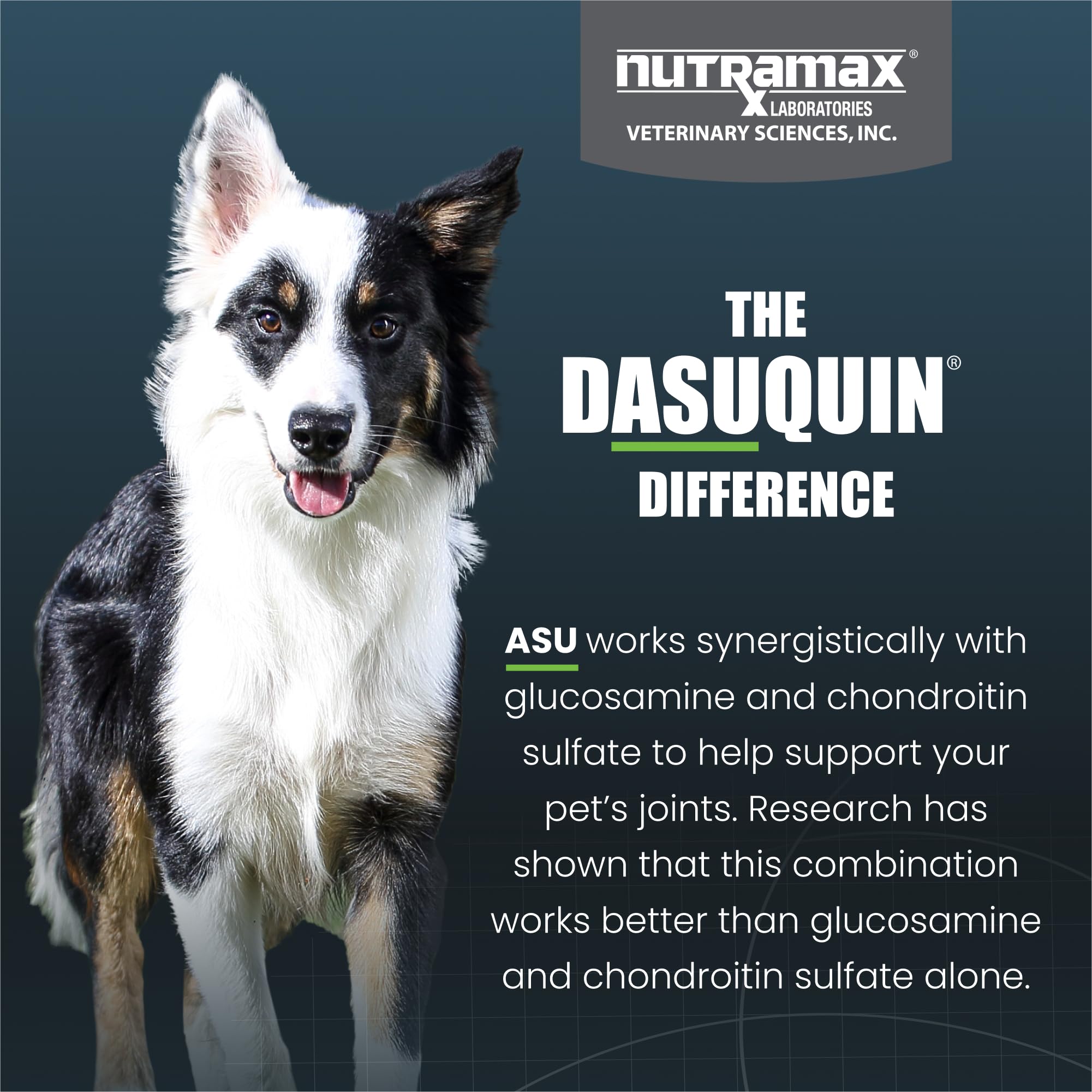 Nutramax Dasuquin for Small to Medium Dogs, Joint Health Supplement, Contains Glucosamine for Dogs, Plus Chondroitin, ASU and More, Supports Healthy Joints, Chewable Tablets, 150 Count - TrustMedUSA
