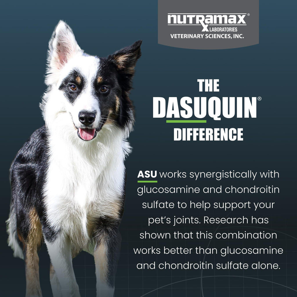 Nutramax Dasuquin for Small to Medium Dogs, Joint Health Supplement, Contains Glucosamine for Dogs, Plus Chondroitin, ASU, MSM and More, Supports Healthy Joints, Chewable Tablets, 150 Count - TrustMedUSA