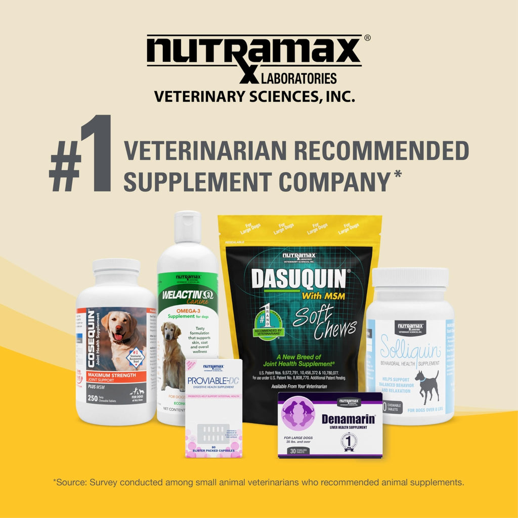 Nutramax Dasuquin for Small to Medium Dogs, Joint Health Supplement, Contains Glucosamine for Dogs, Plus Chondroitin, ASU, MSM and More, Supports Healthy Joints, Chewable Tablets, 84 Count - TrustMedUSA